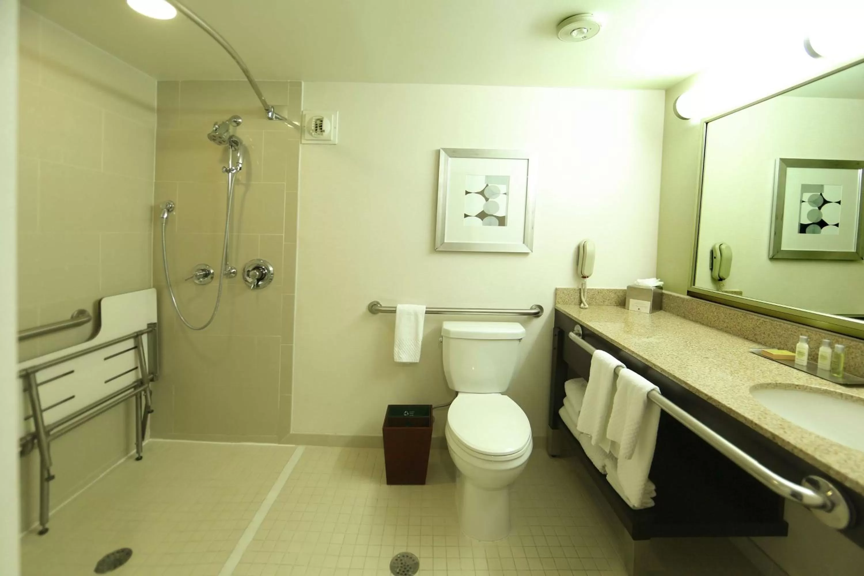 Bathroom in DoubleTree by Hilton Dearborn