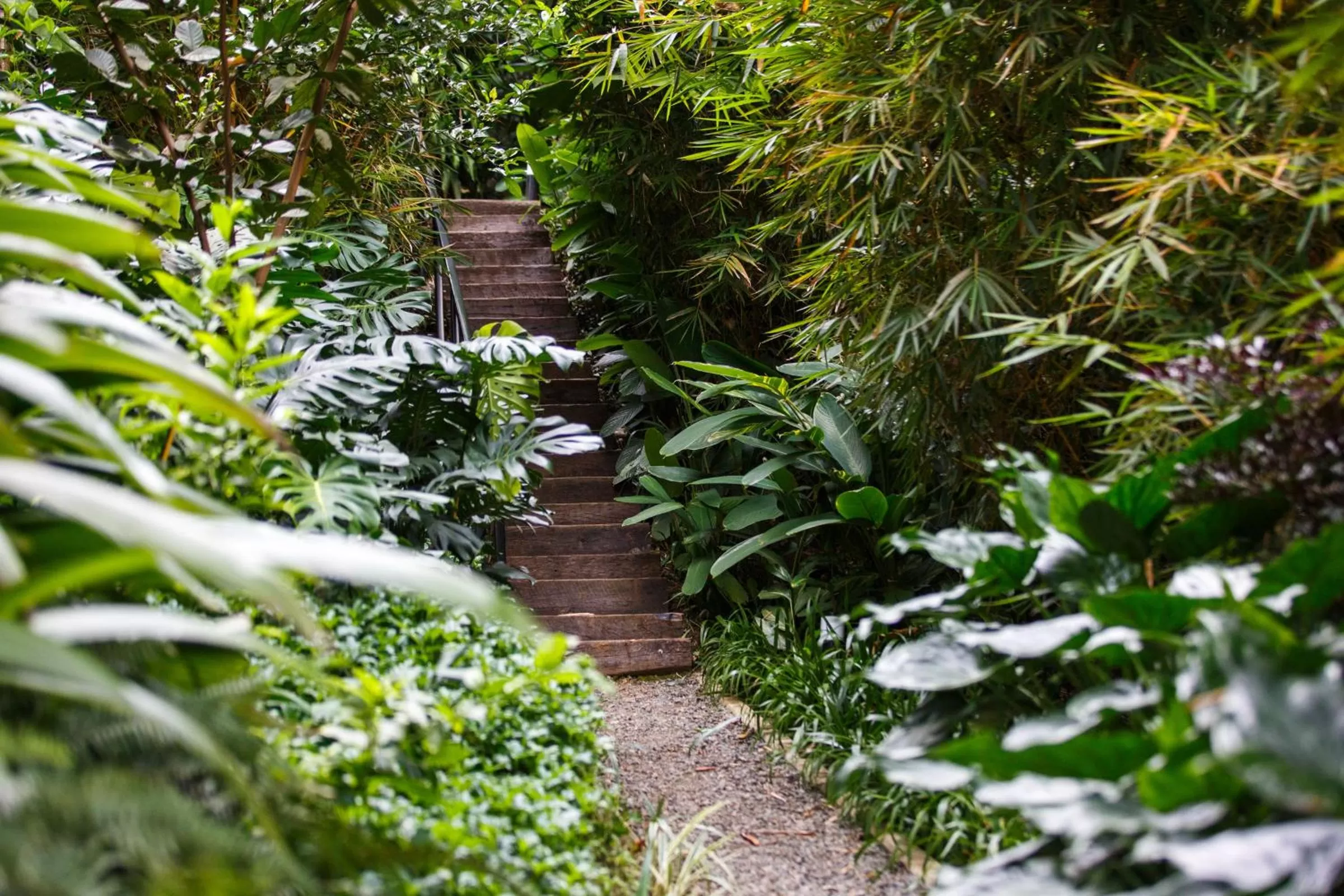 Garden in Patio del Mundo