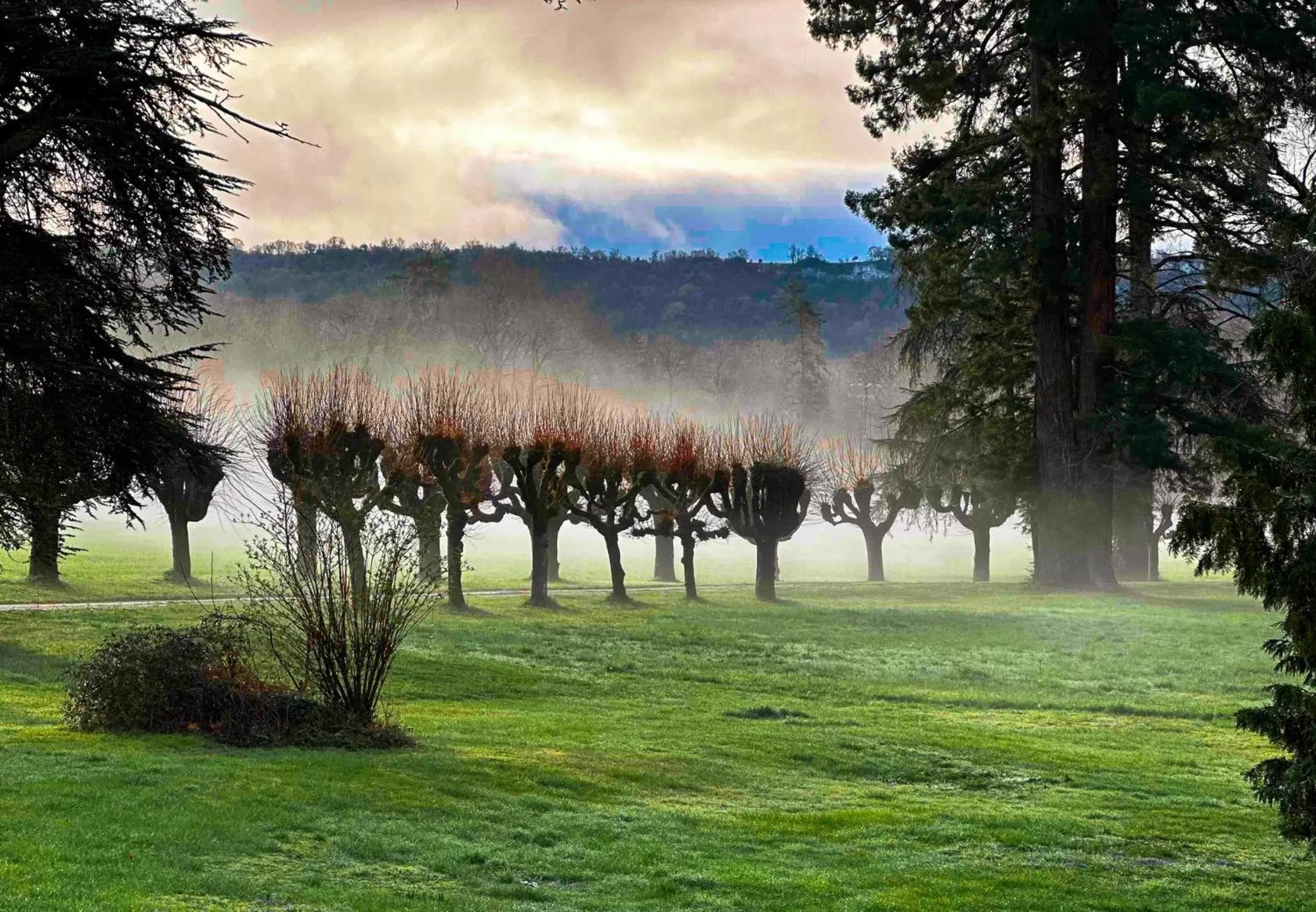 View (from property/room) in Queen's Escape