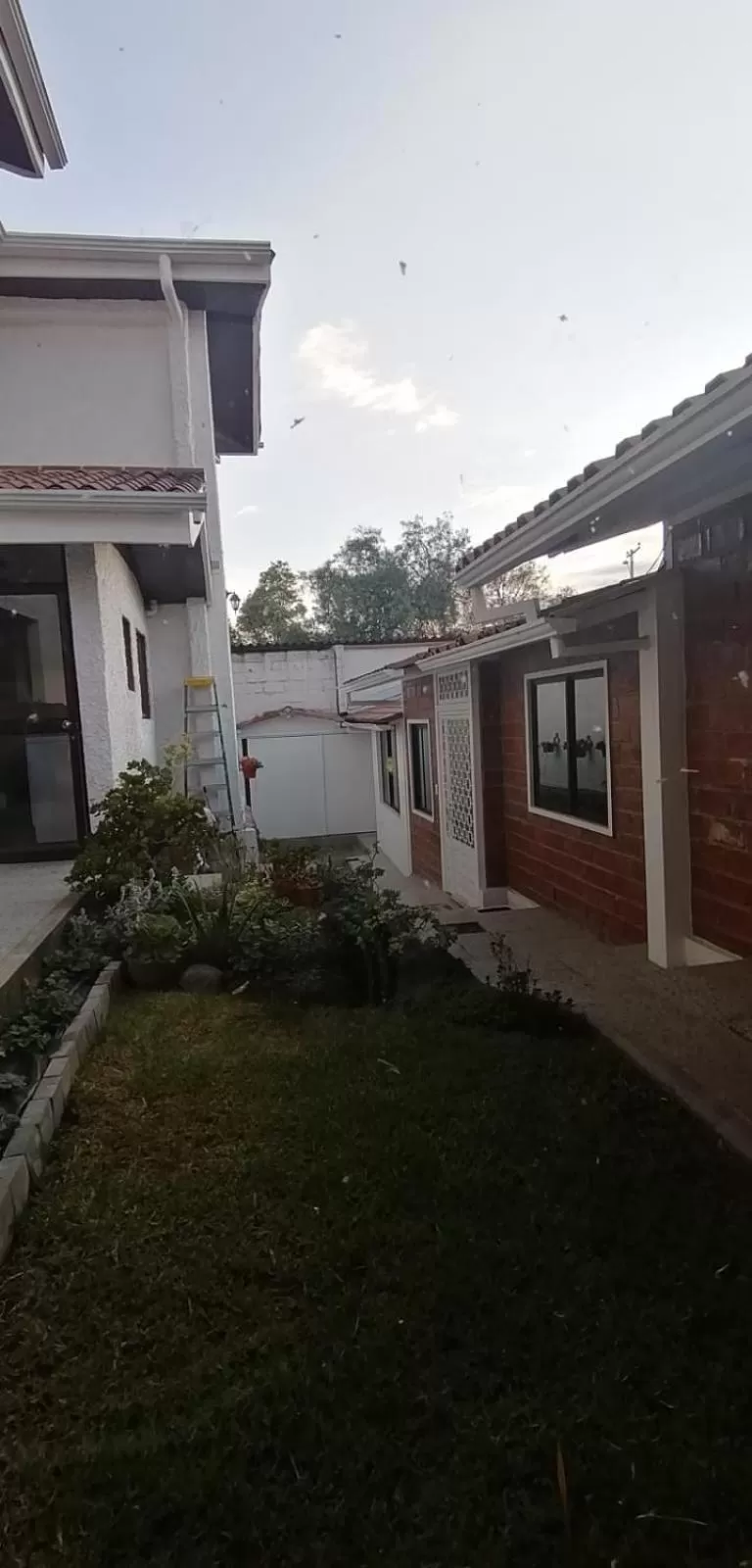 Garden, Property Building in Casatodosantos