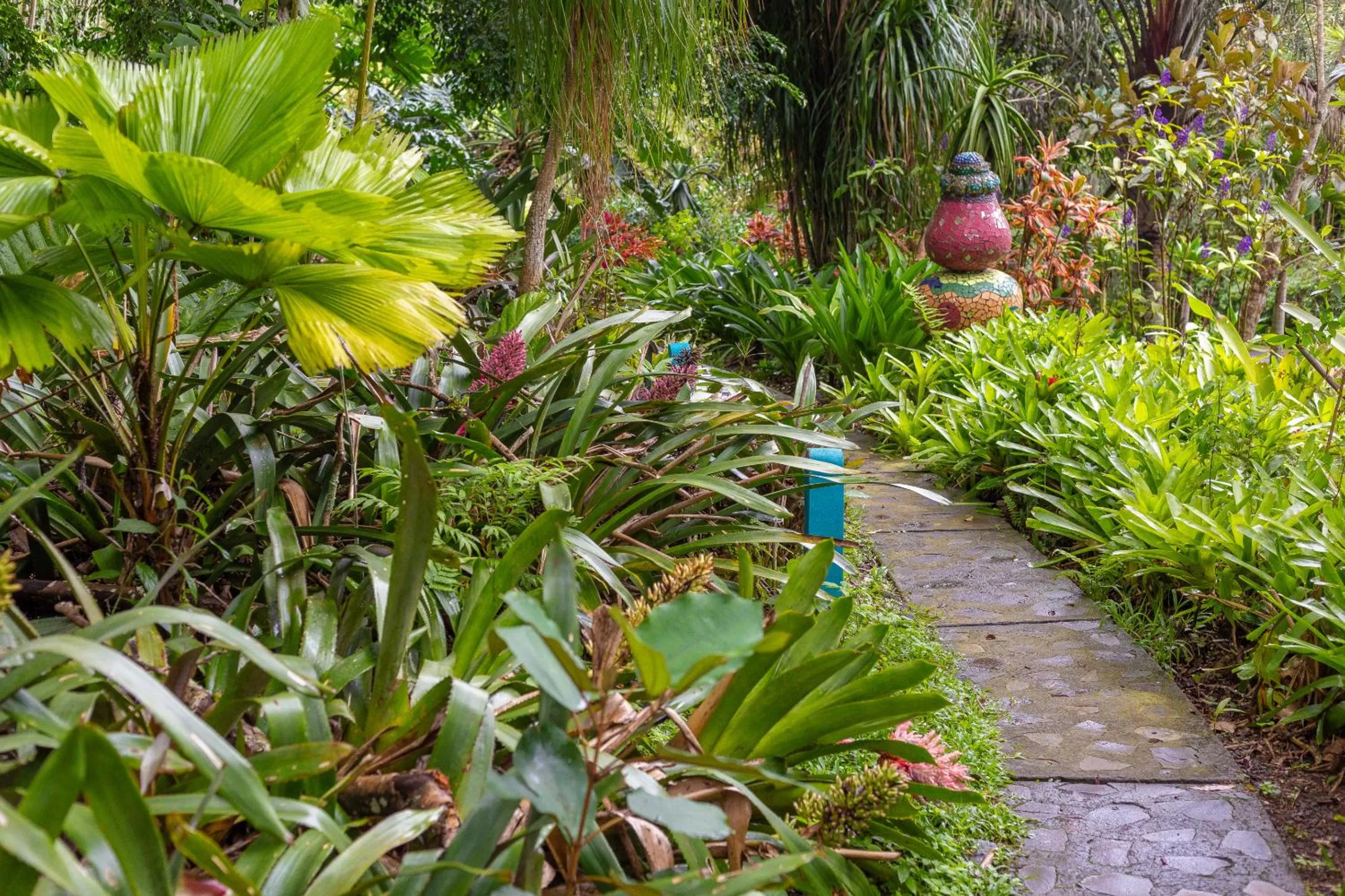 Natural landscape in Xandari Resort & Spa