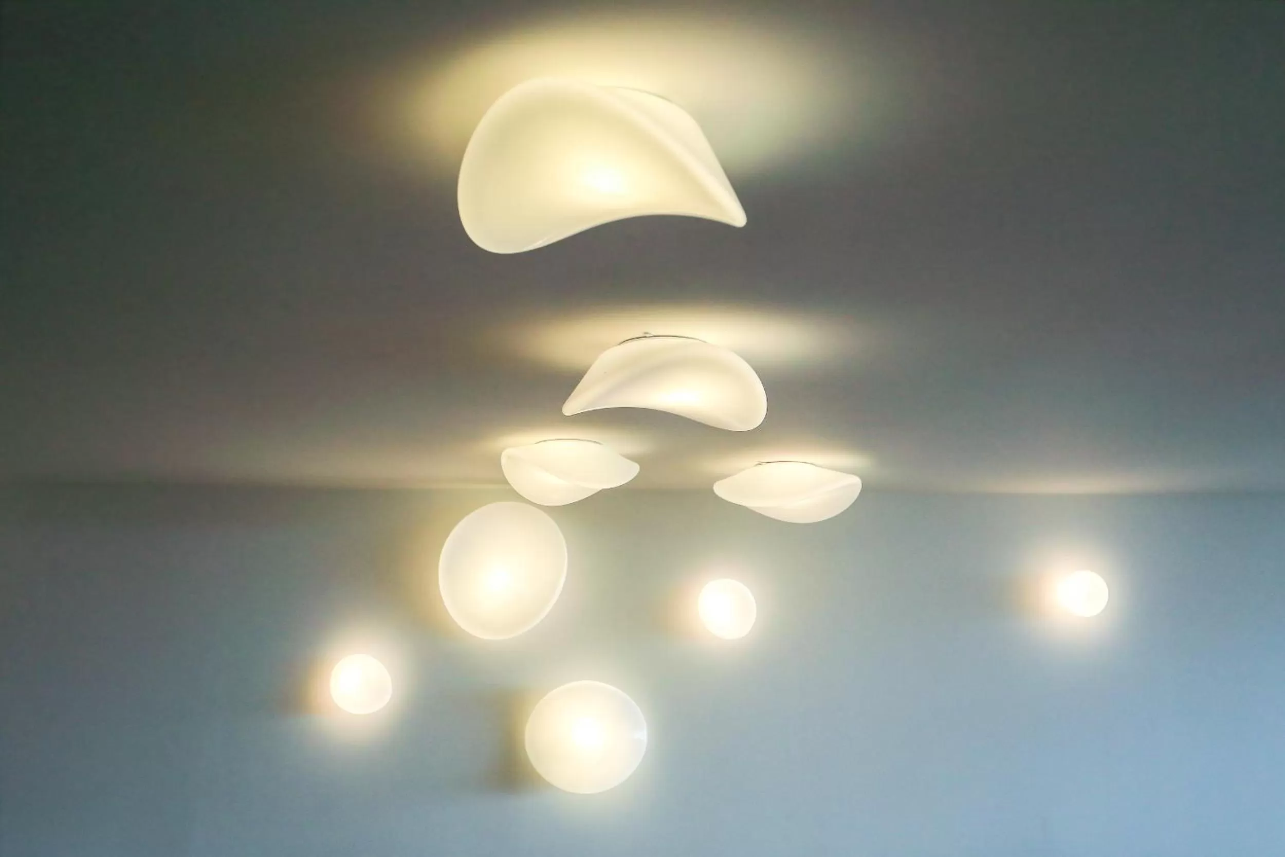 Restaurant/places to eat in Casas Da Lapa, Nature & Spa Hotel