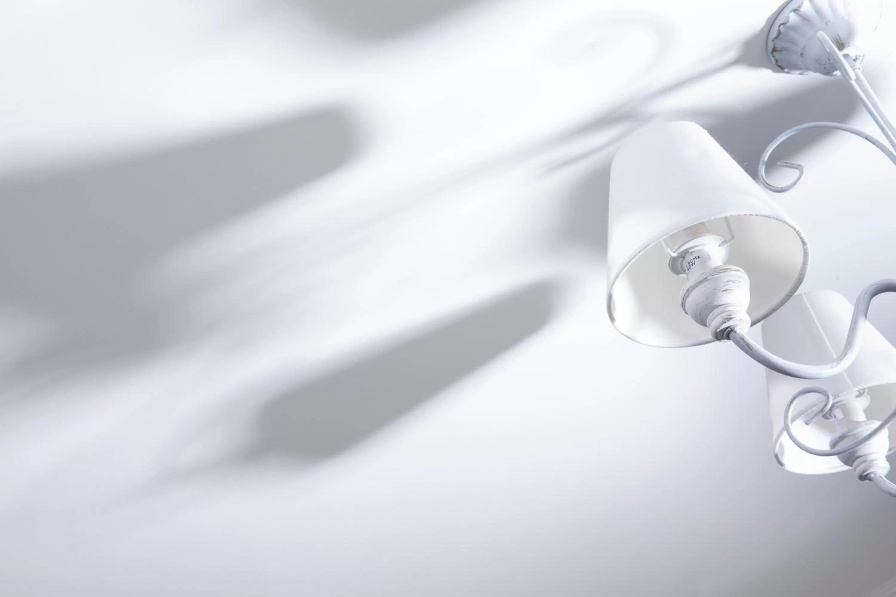 Decorative detail in Hôtel de Genève