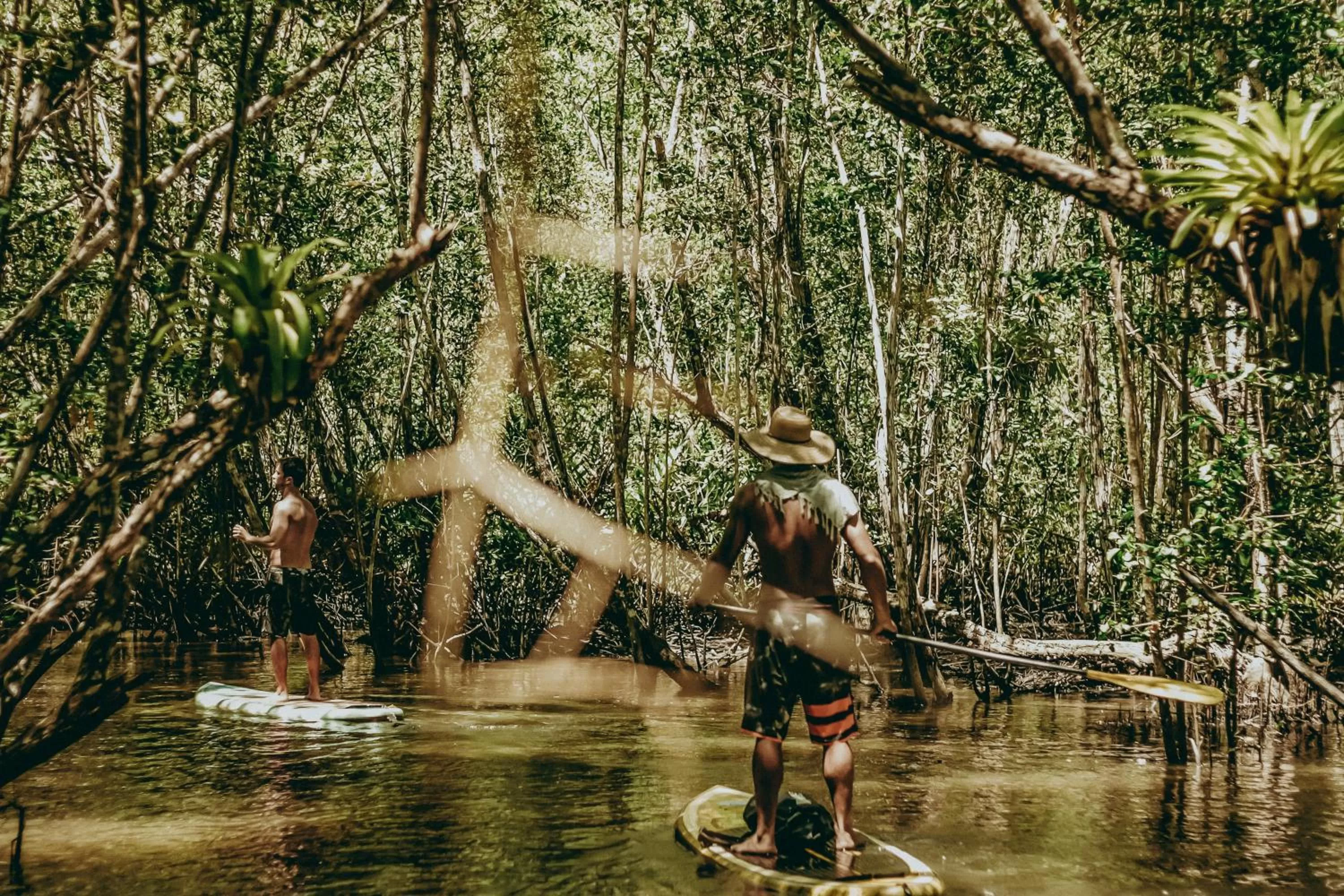 River view, Other Animals in Barracuda Hotel & Villas