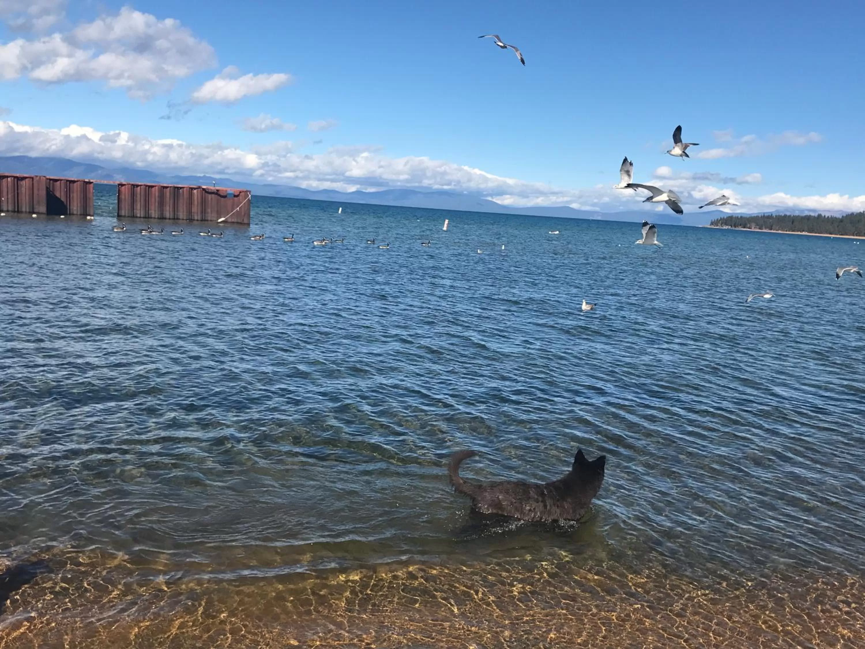 Beach in Paradice Motel
