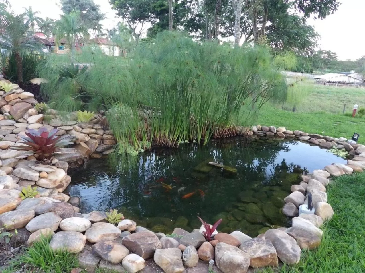 Garden view in HOTEL ABAPORU