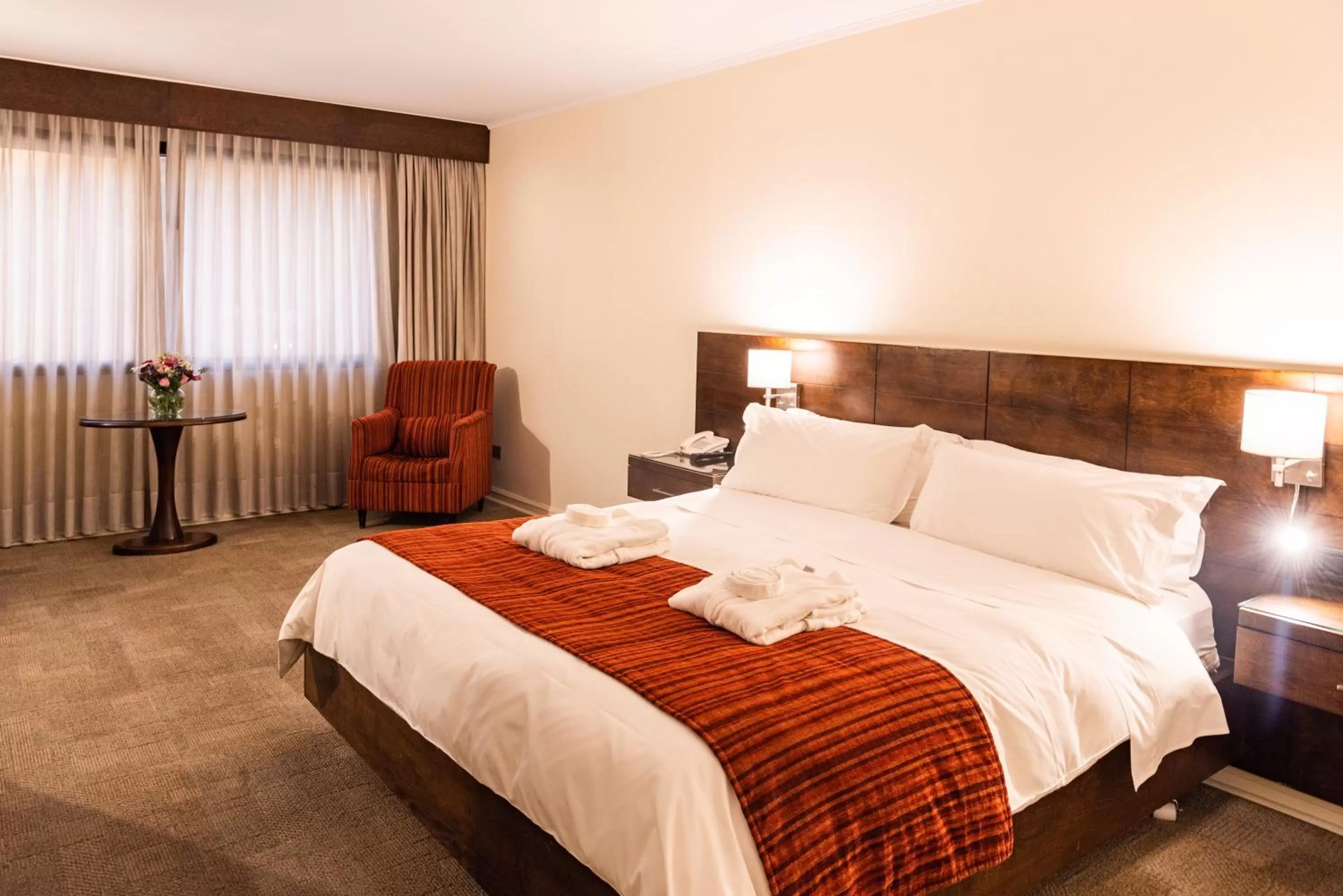 Deluxe Double Room - single occupancy in MR Hotel Providencia (ex Hotel Neruda)