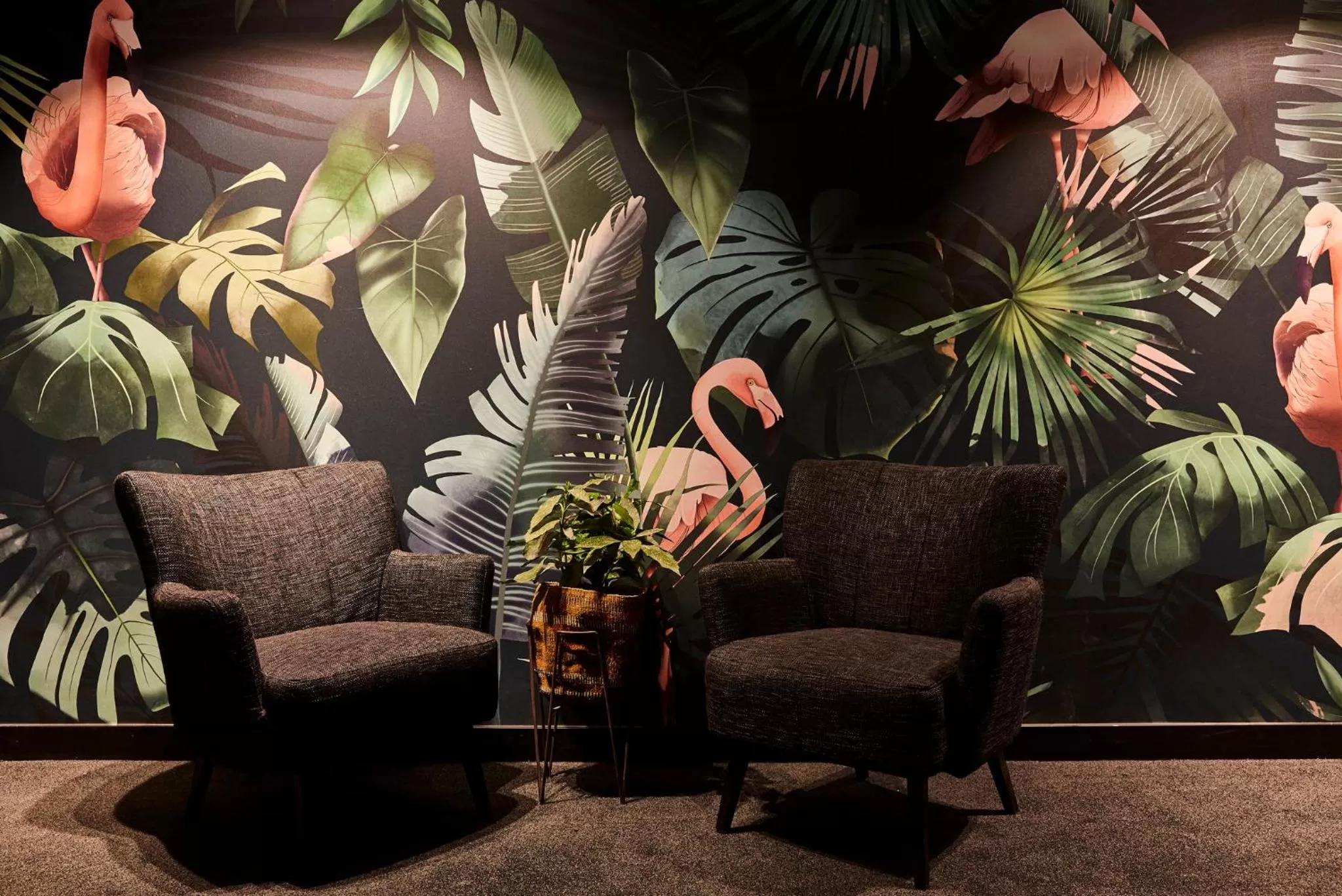 Property building in Hotel Indigo Antwerp City Centre by IHG