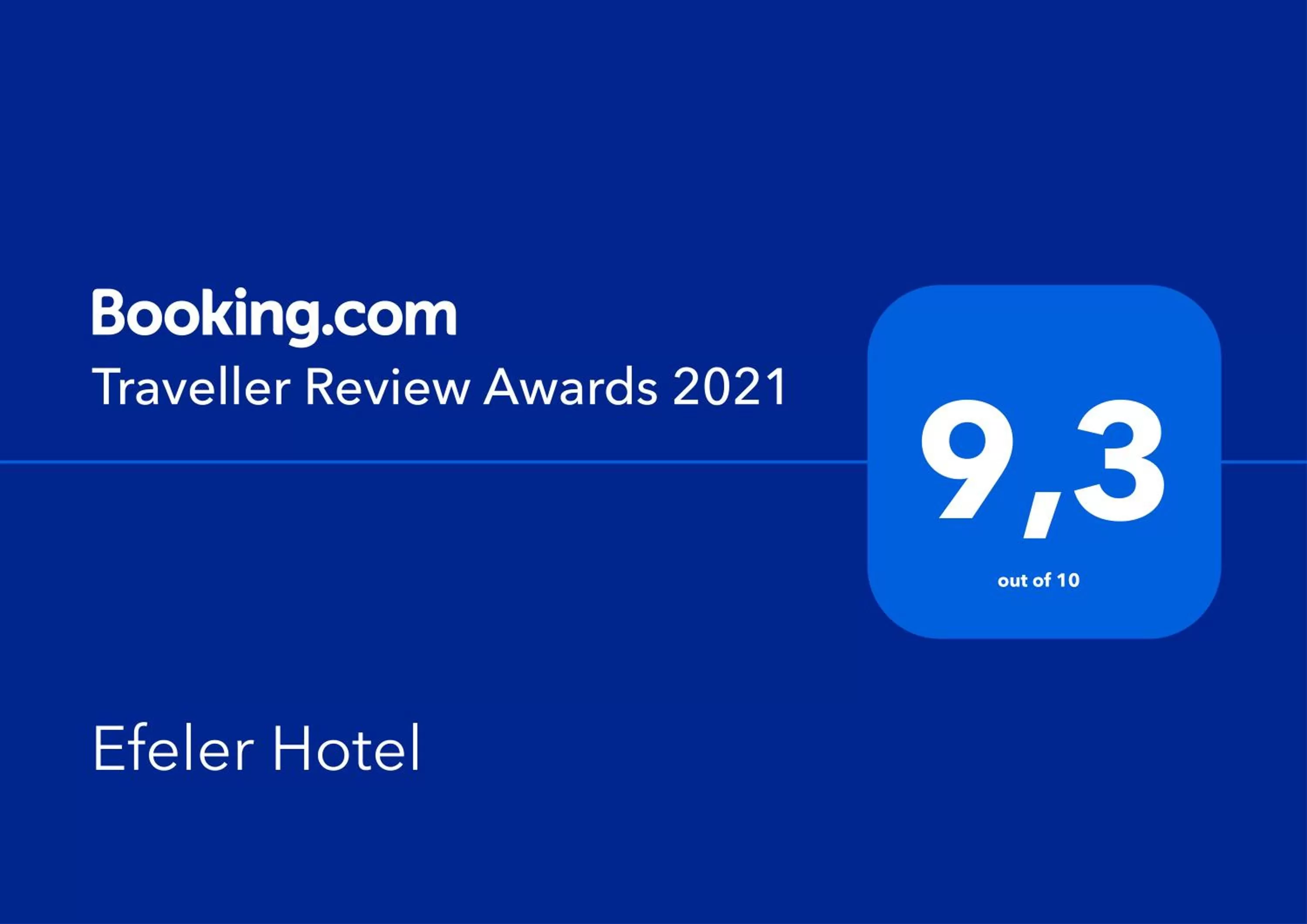 Certificate/Award in Efeler Hotel