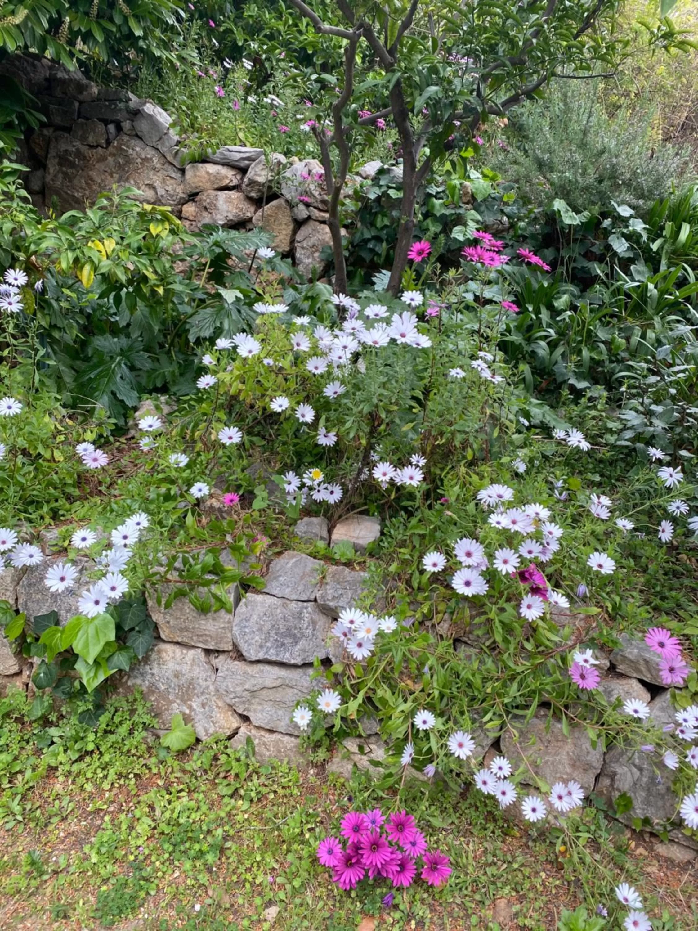 Natural landscape, Garden in Chambre spacieuse indépendante dans villa plus parking privée