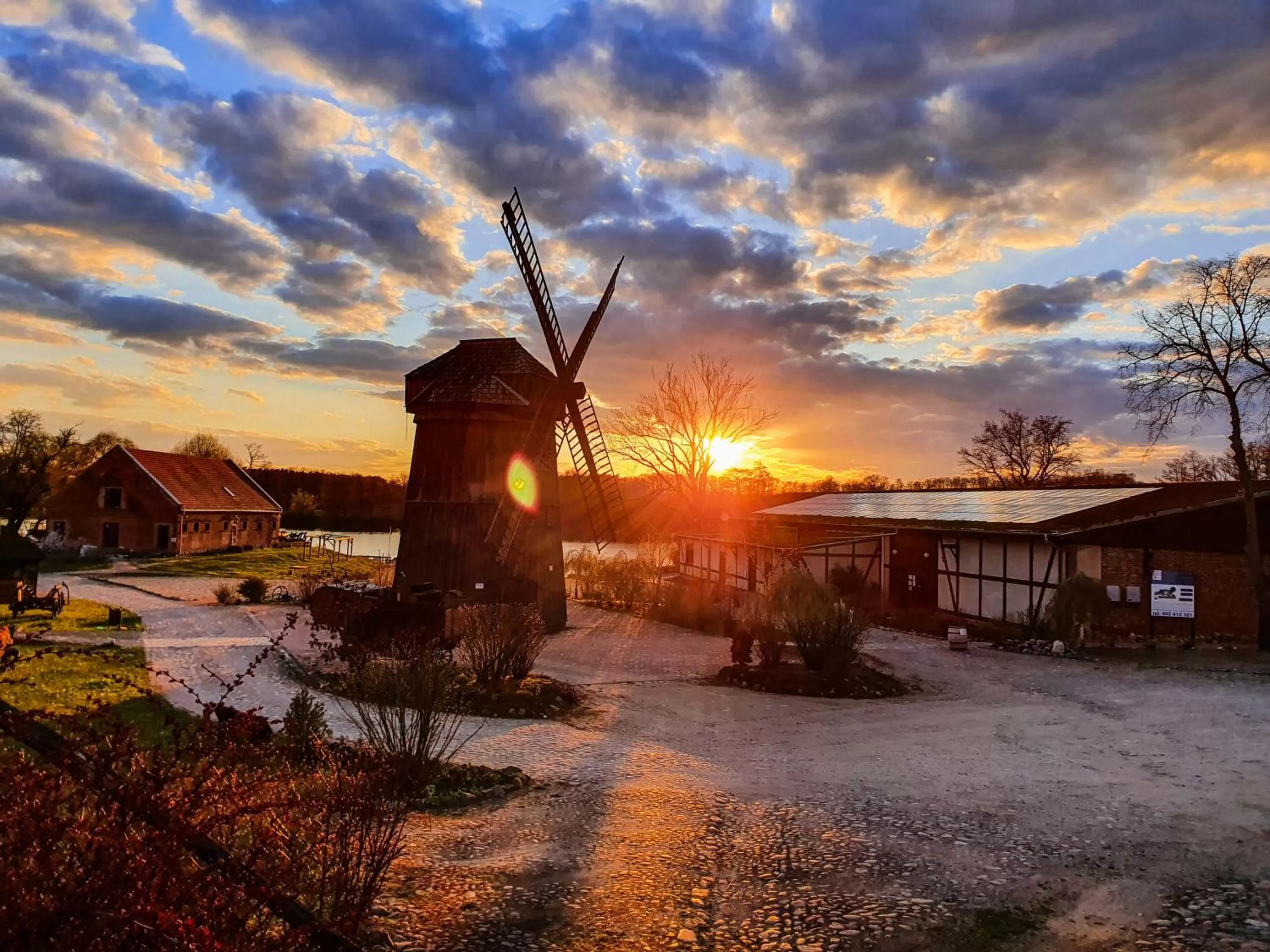 Garden view, Property Building in Olandia