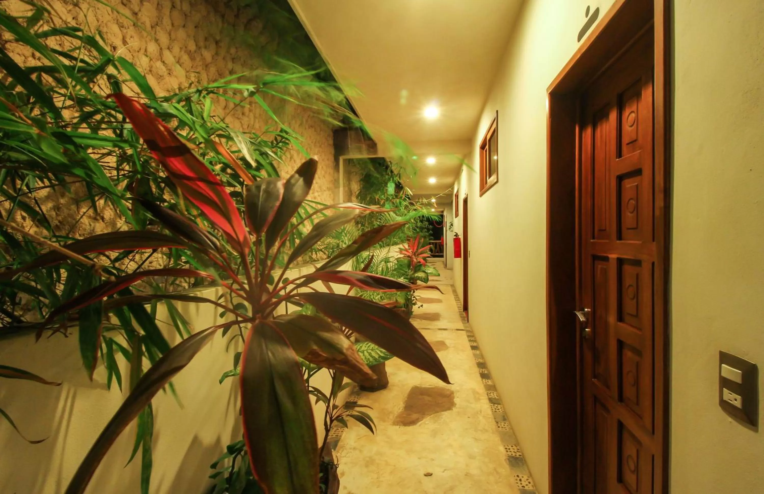 Off site in Corazon De Jade Tulum