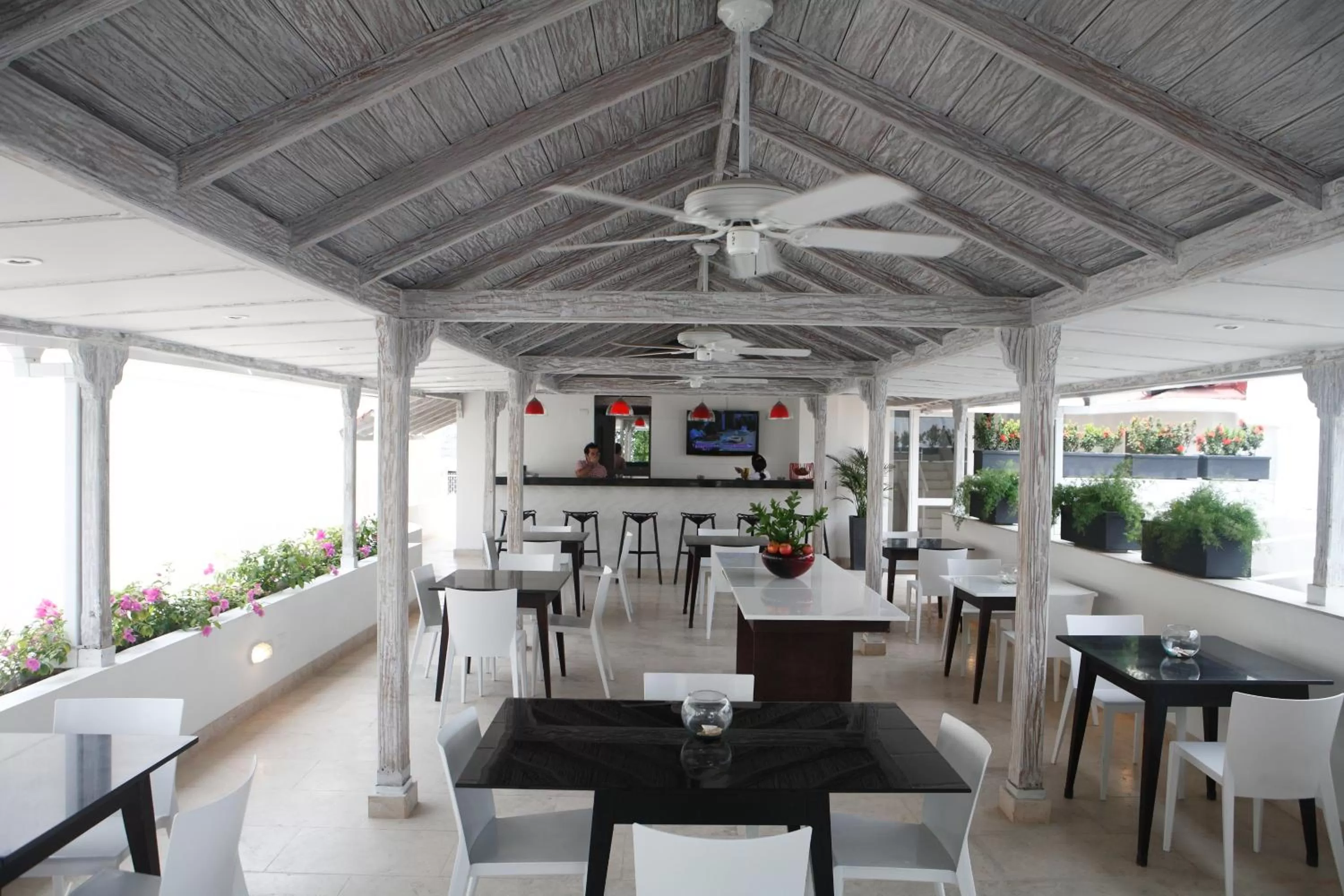 Restaurant/places to eat in Zalmedina Hotel