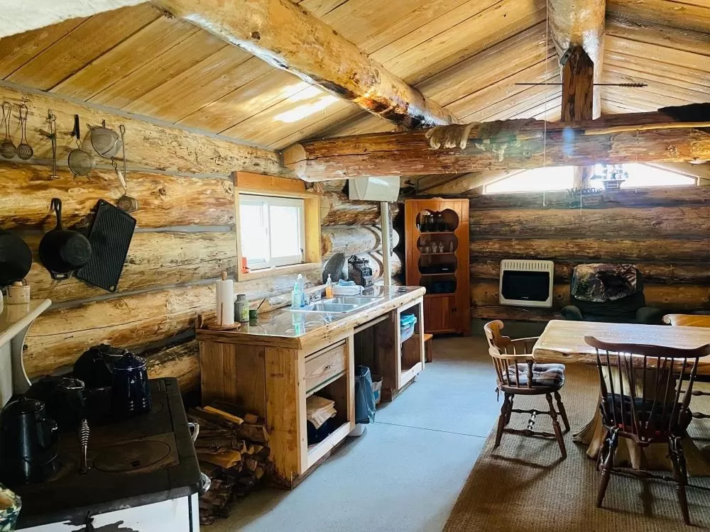 Kitchen or kitchenette in Drummond Island Resort