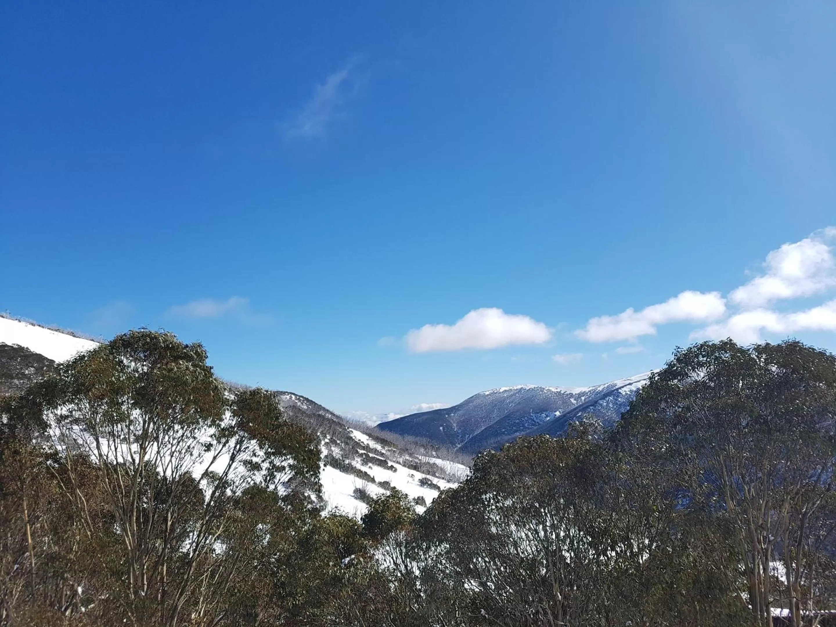 Natural landscape in Cedarwood Apartments