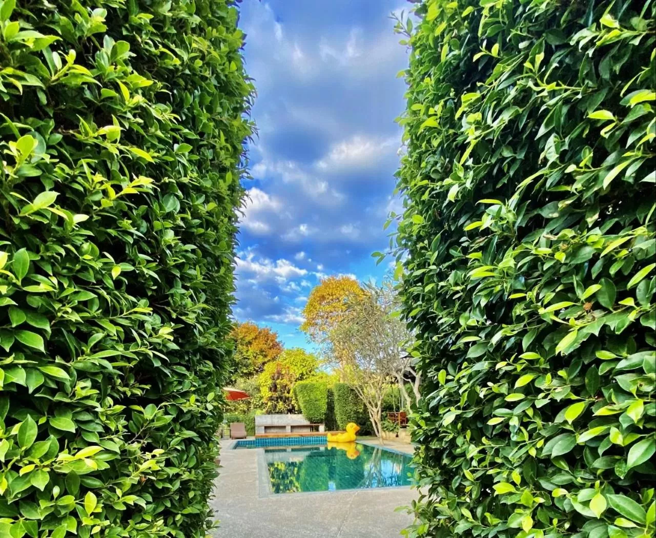 Swimming pool in Family House Zen Boutique Resort