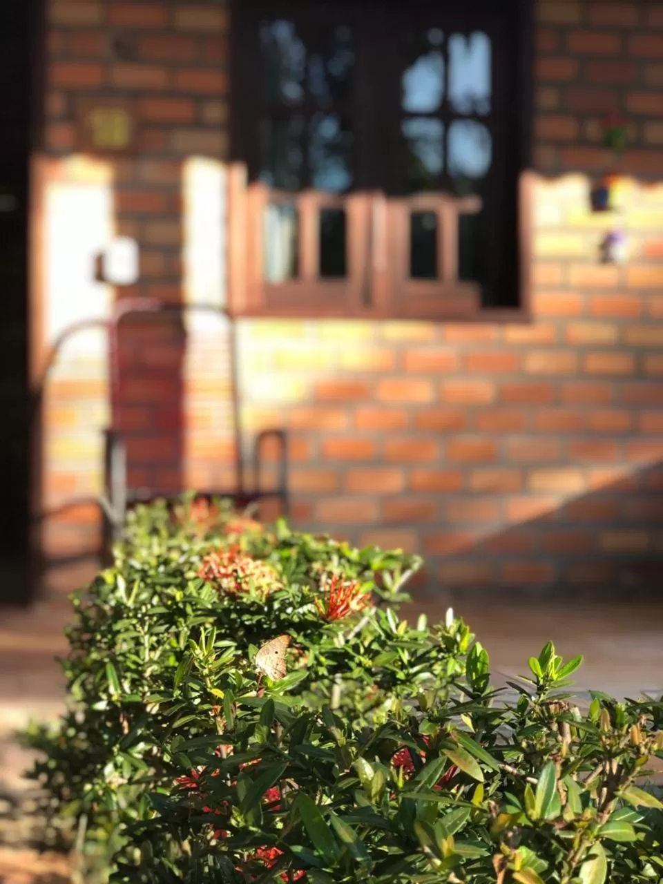 Garden in Pousada do Riacho