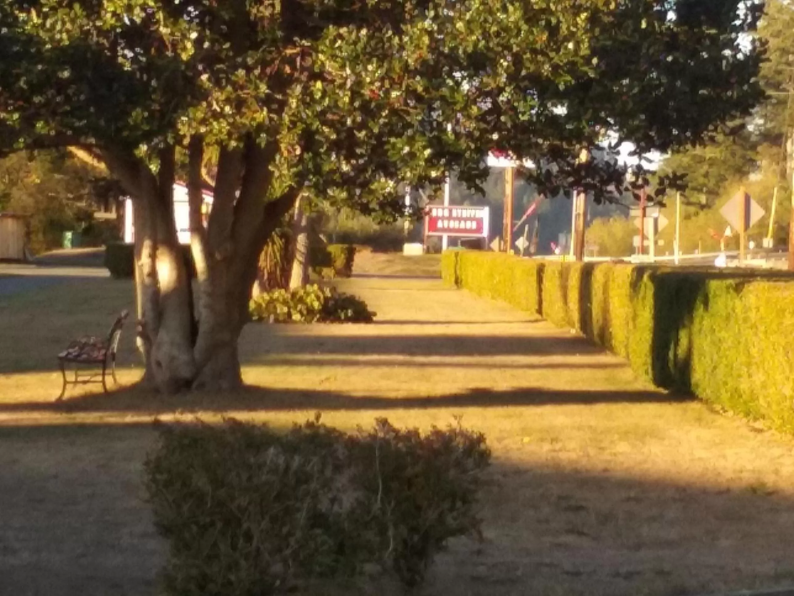 Patio in Bay Bridge Motel