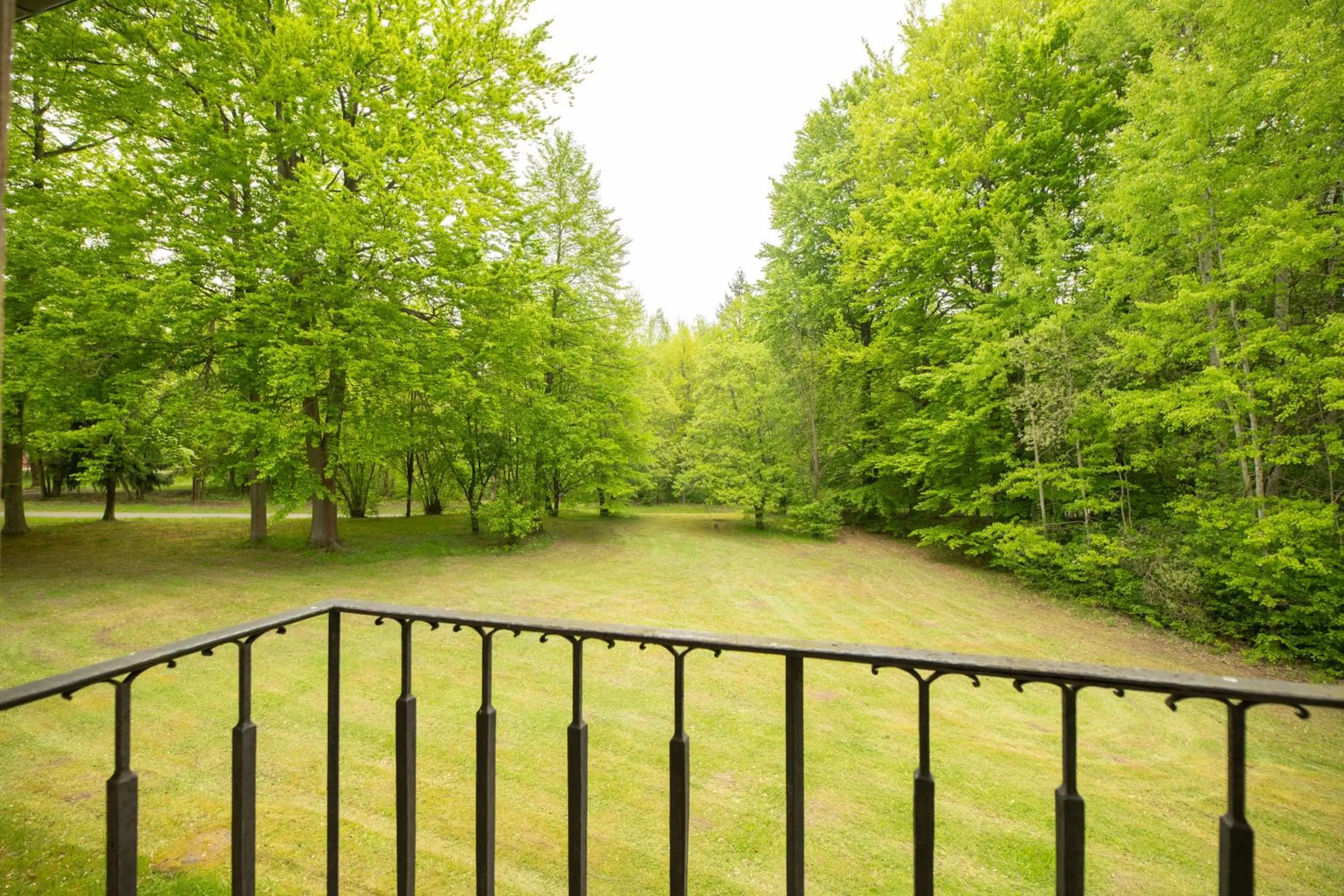 View (from property/room) in seezeit-resort am Werbellinsee