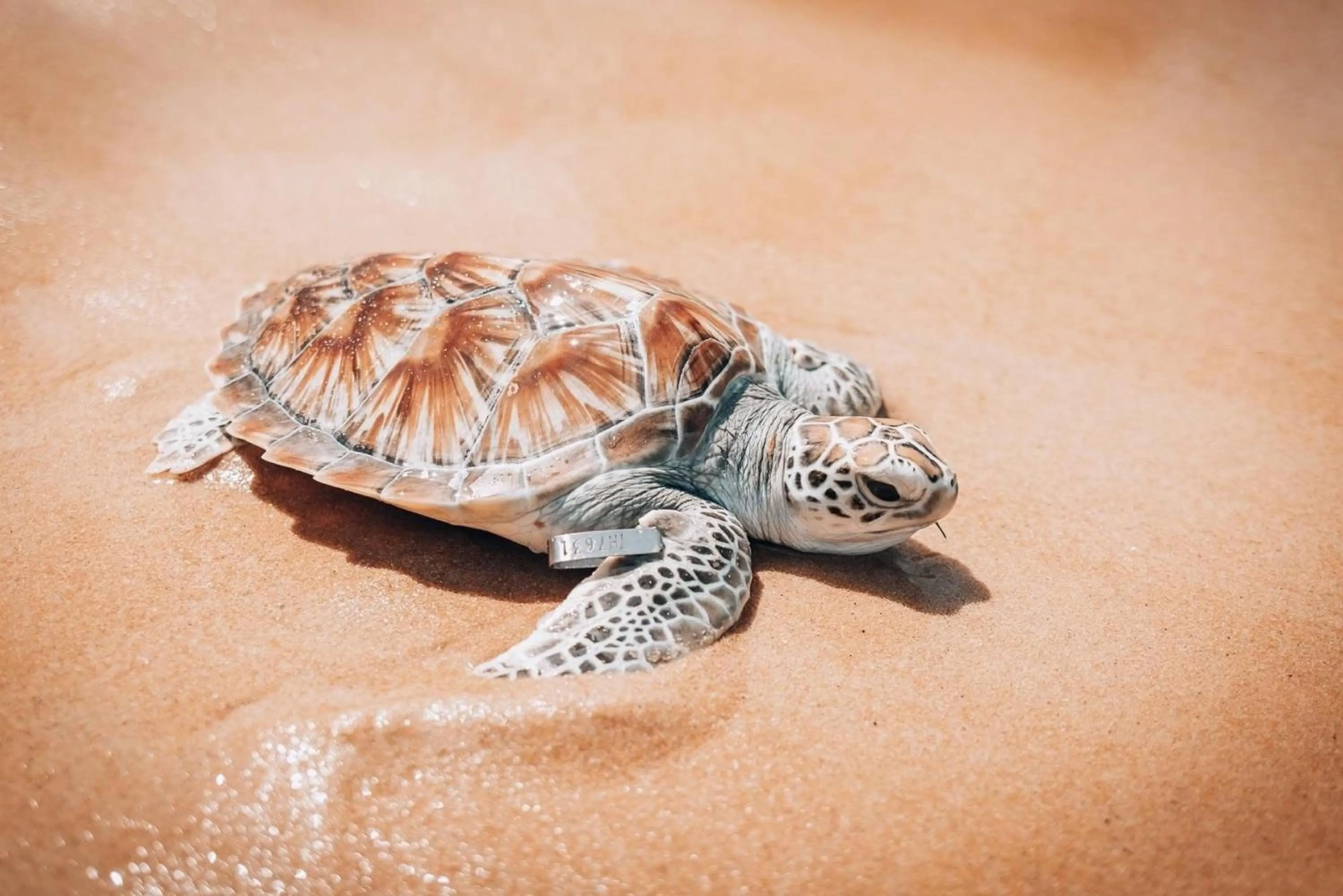 Activities in JW Marriott Phuket Resort and Spa