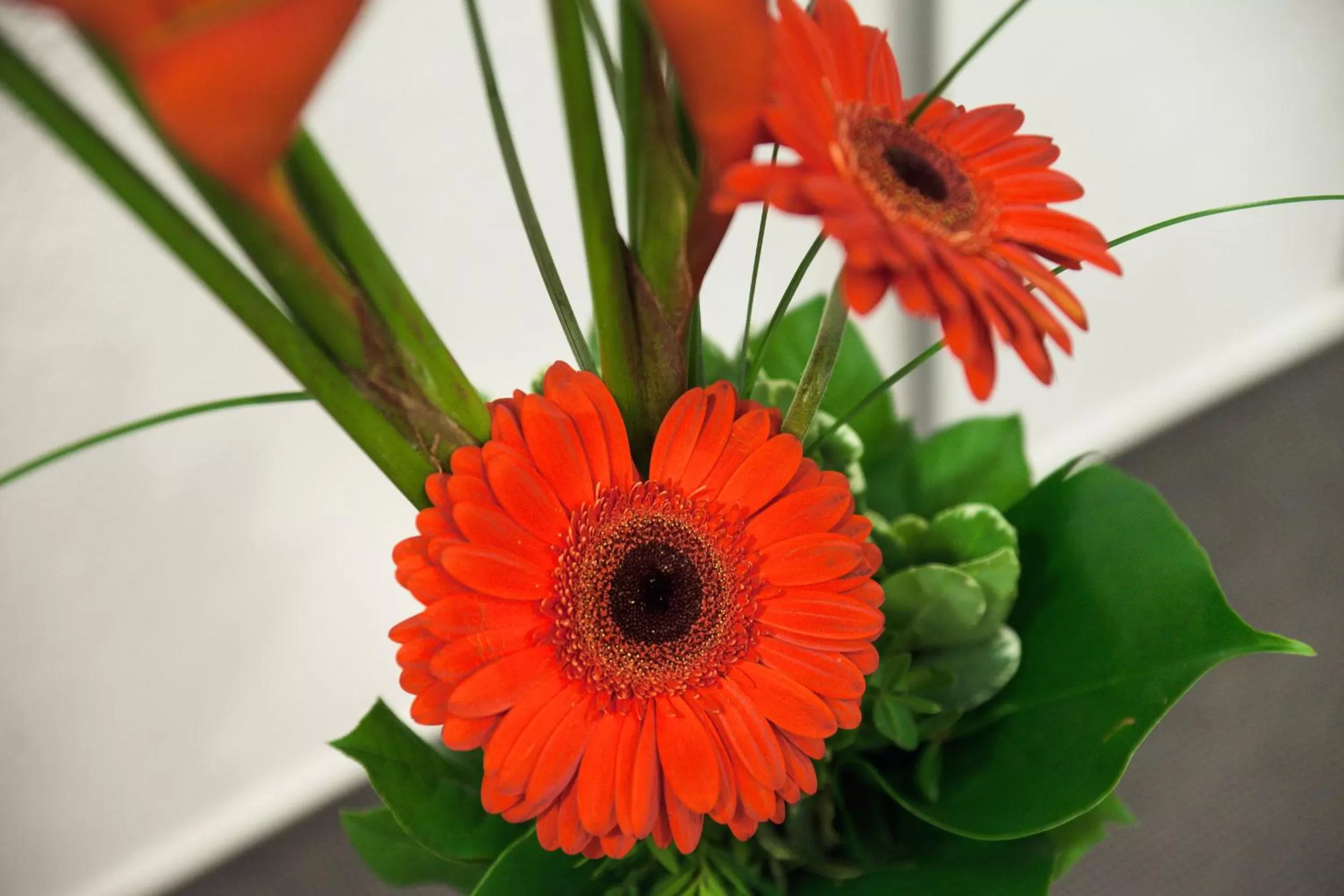 Other in Hotel am Tiergarten