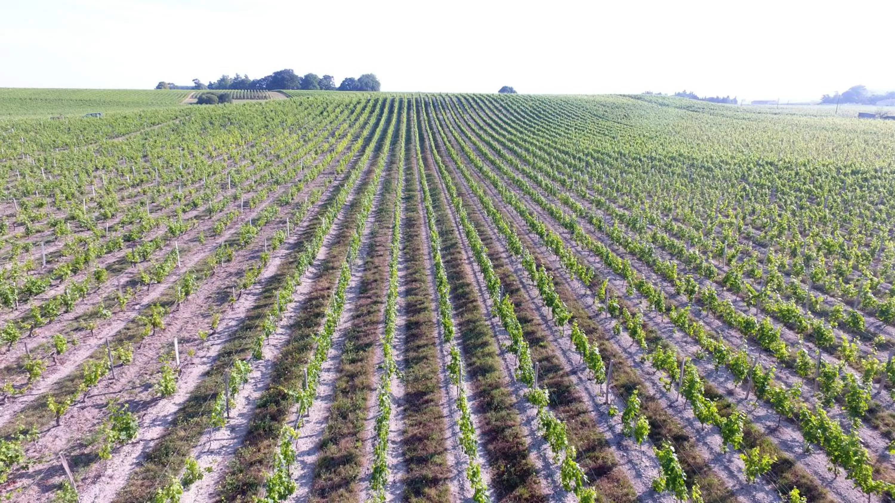 Landmark view in Chambres d'Hôtes Château Pierre de Montignac