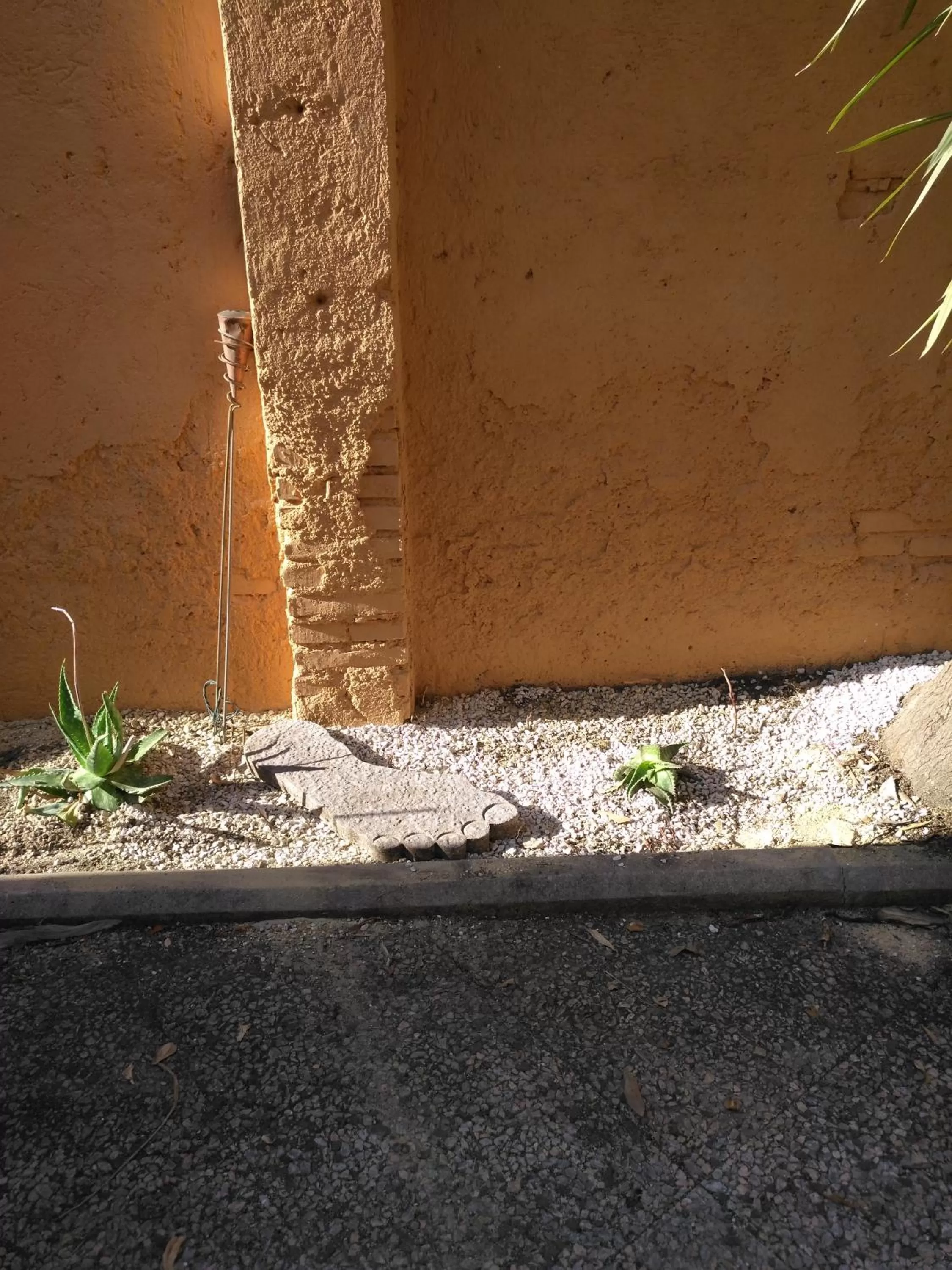 Decorative detail in Tucci's Roma Guest House