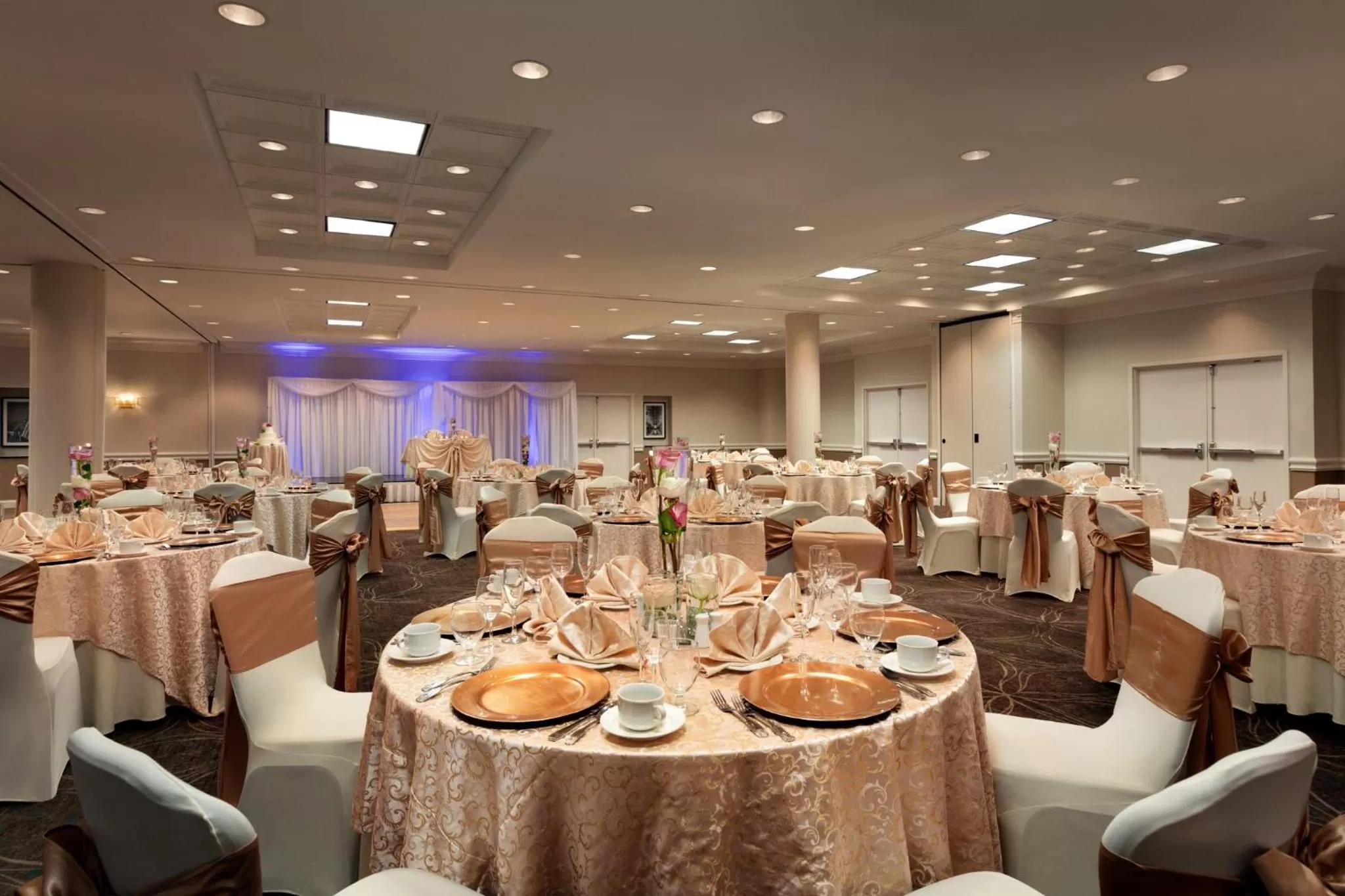Banquet/Function facilities in Holiday Inn Washington-Dulles International Airport by IHG