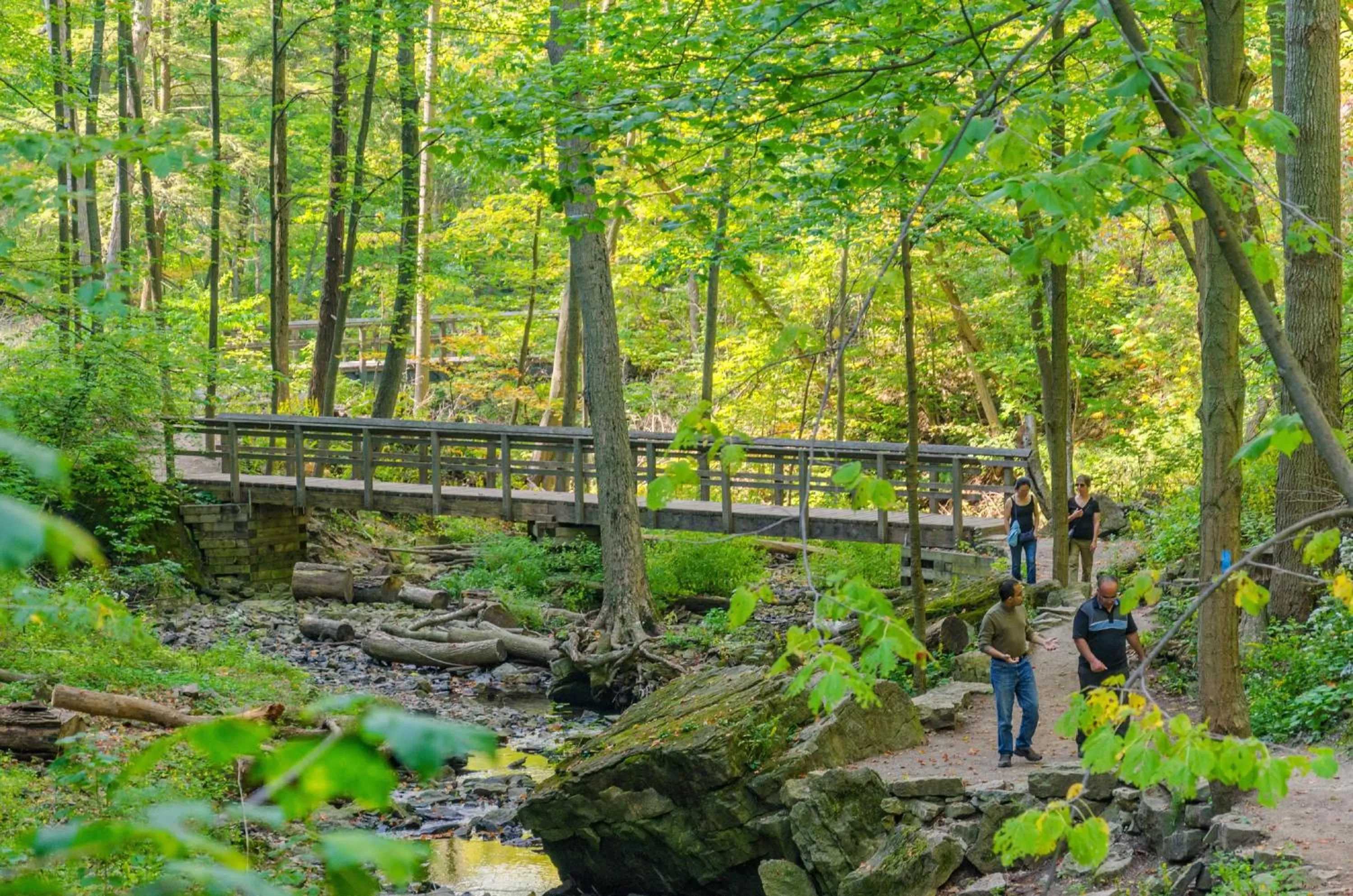 Nearby landmark in Staybridge Suites Hamilton - Downtown by IHG