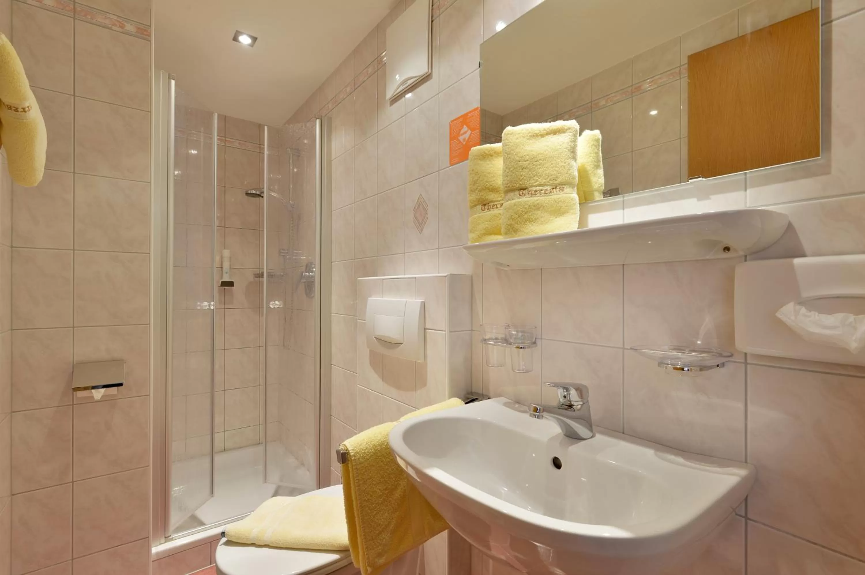 Bathroom in Hotel Theresia Garni