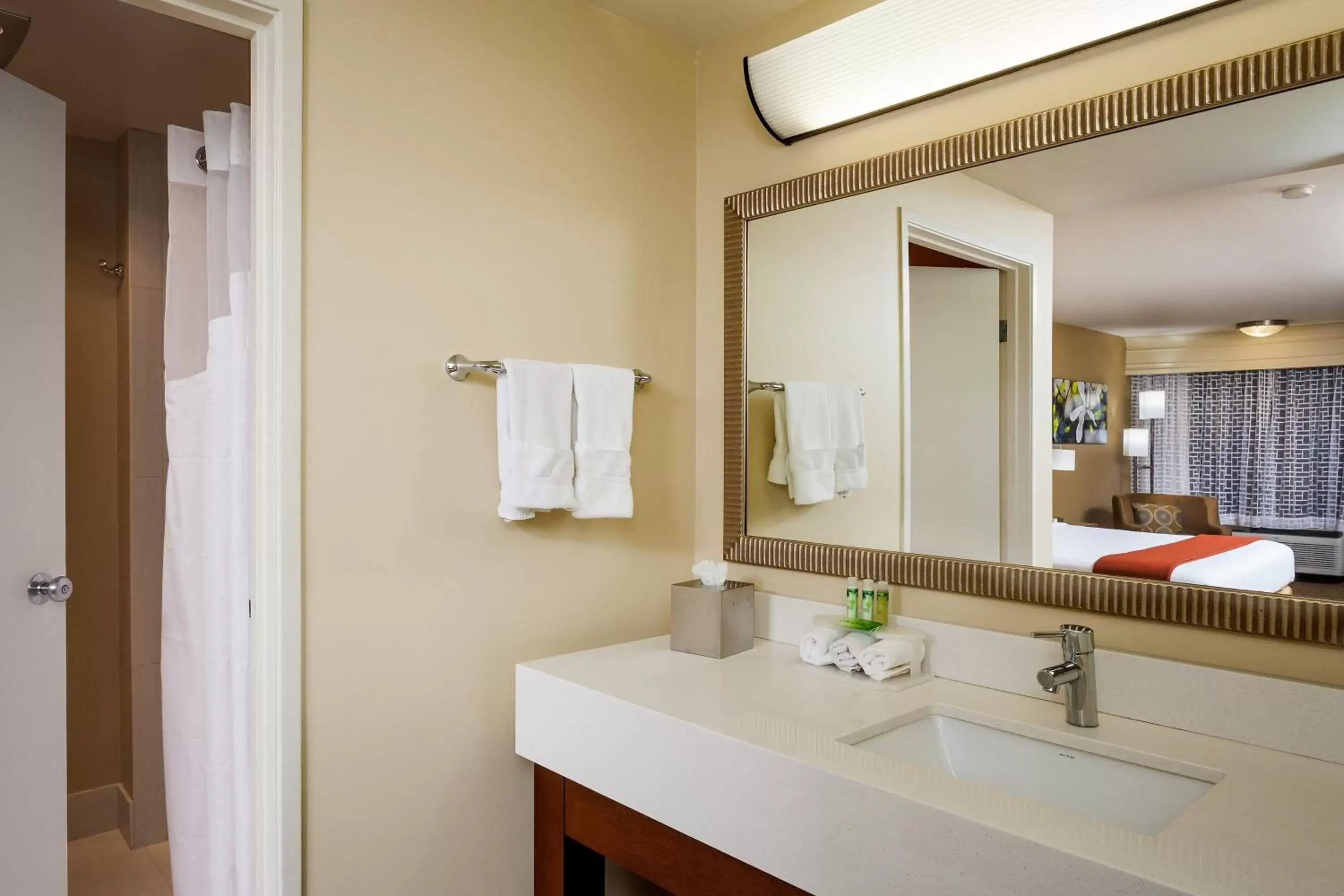One-Bedroom Suite - Non-Smoking in Holiday Inn Express Simi Valley, an IHG Hotel One-Bedroom Suite - Non-Smoking in Holiday Inn Express Simi Valley, an IHG Hotel