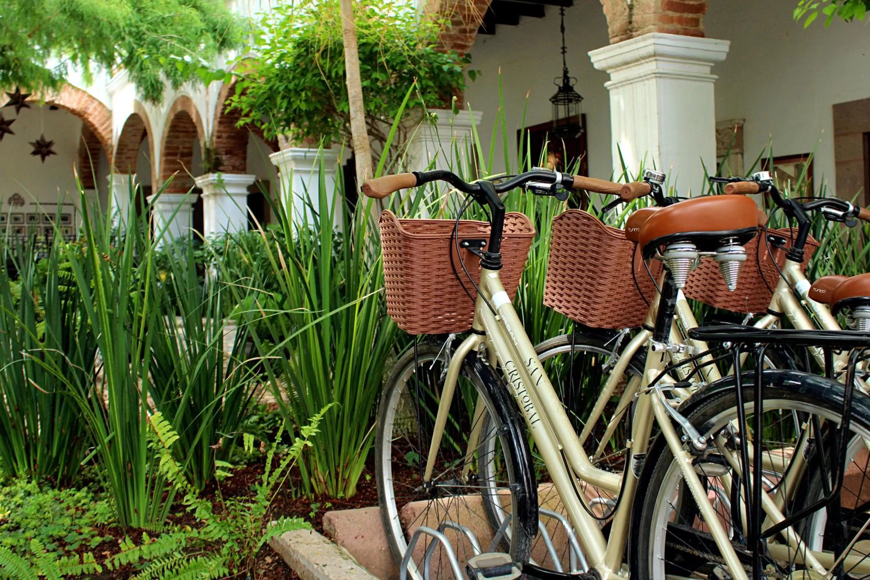 Activities in Hotel Hacienda San Cristóbal
