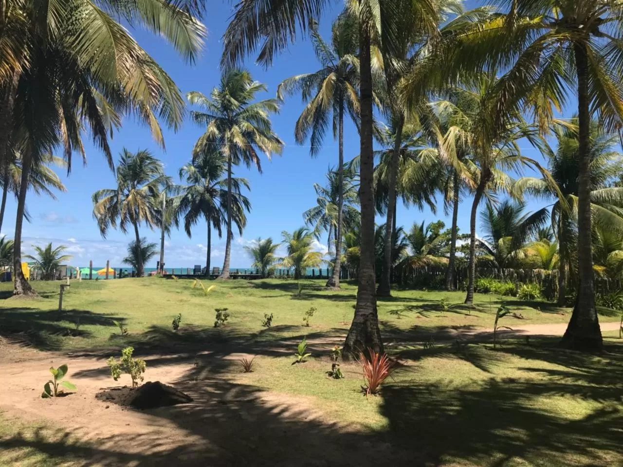 Garden view, Garden in Pousada e Restaurante Encanto das Águas