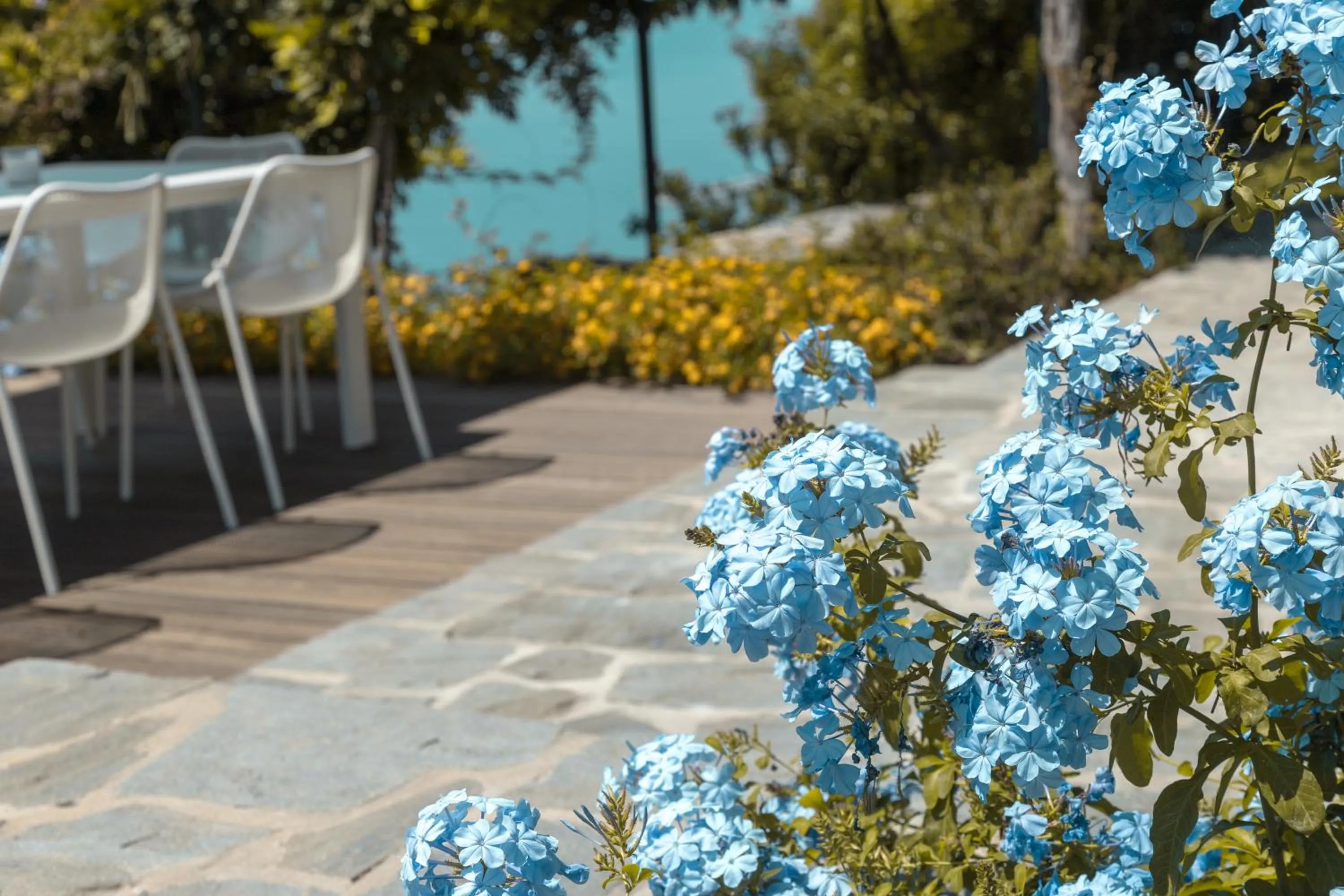 Patio in Villa Riviera Resort