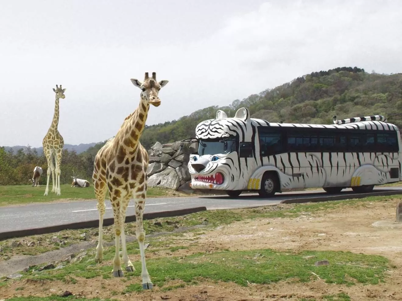 Off site in Hotel Nikko Himeji