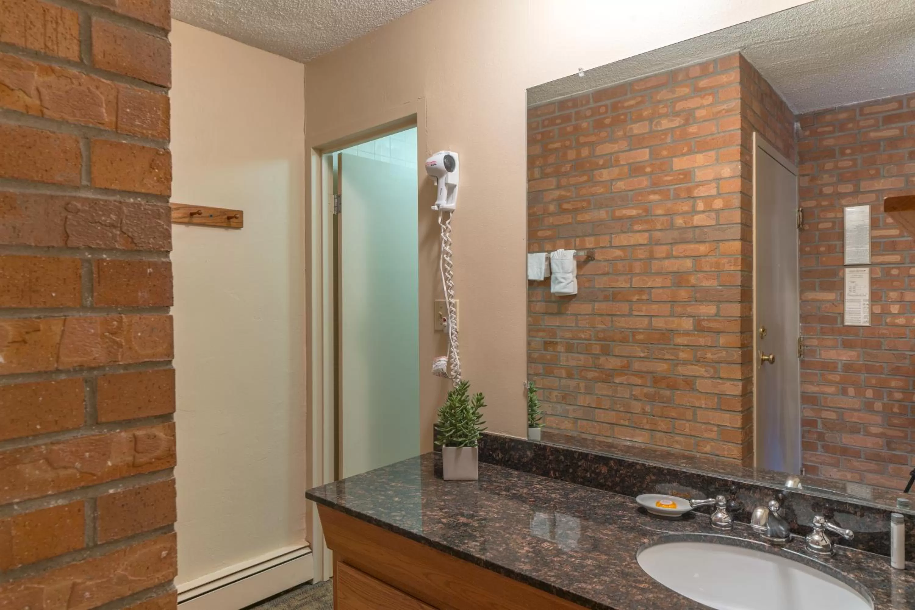 Bathroom in Mountain Chalet Snowmass