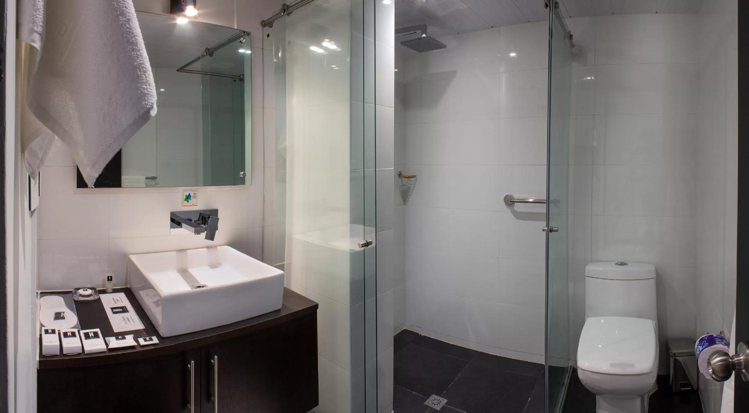 Bathroom in Hotel Metropolitano