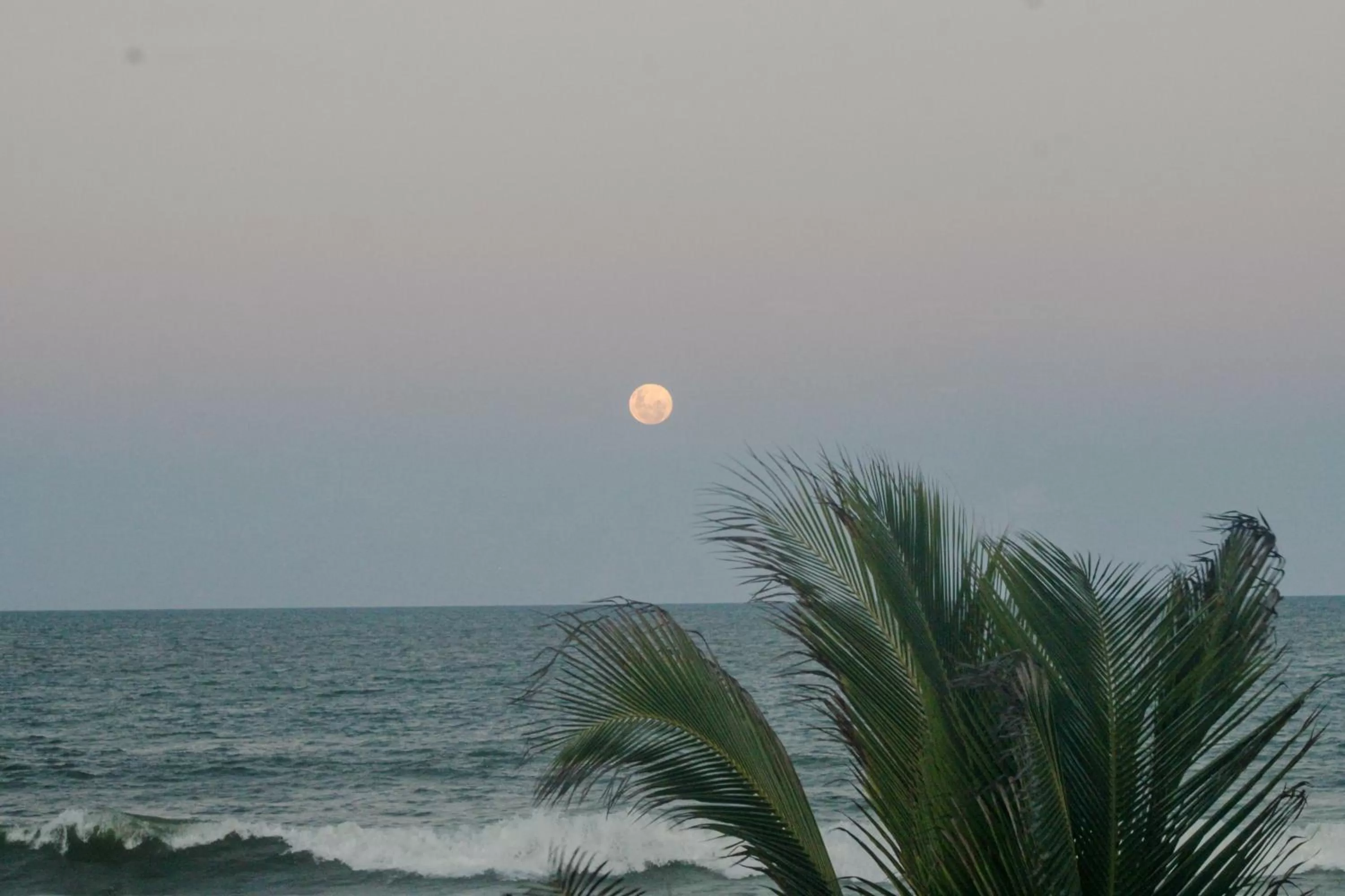 Sea view in Pousada Solar das Flores