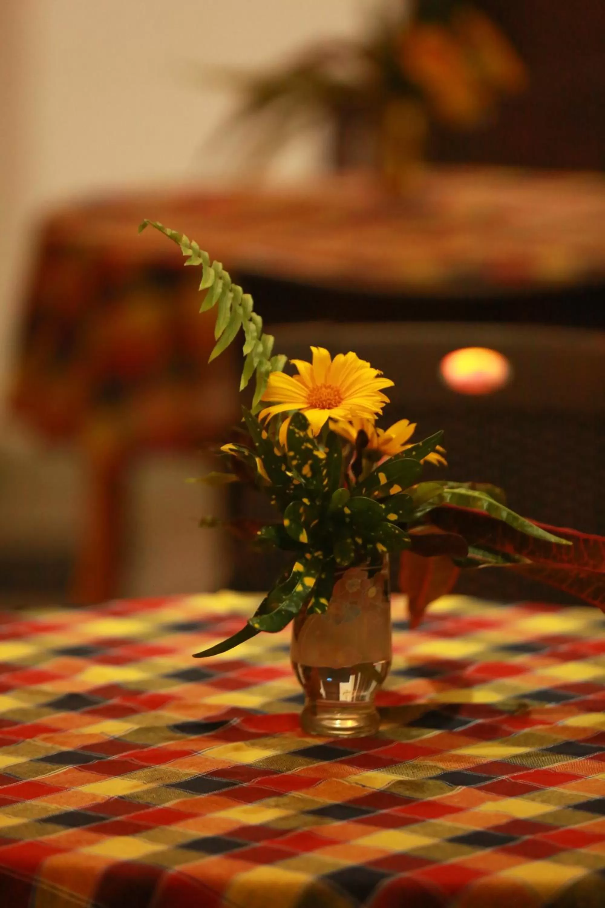 Bedroom in Surf Orchid Villa