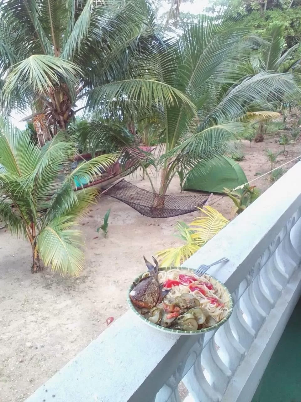 Pool View in Port Antonio Brian's Beach House