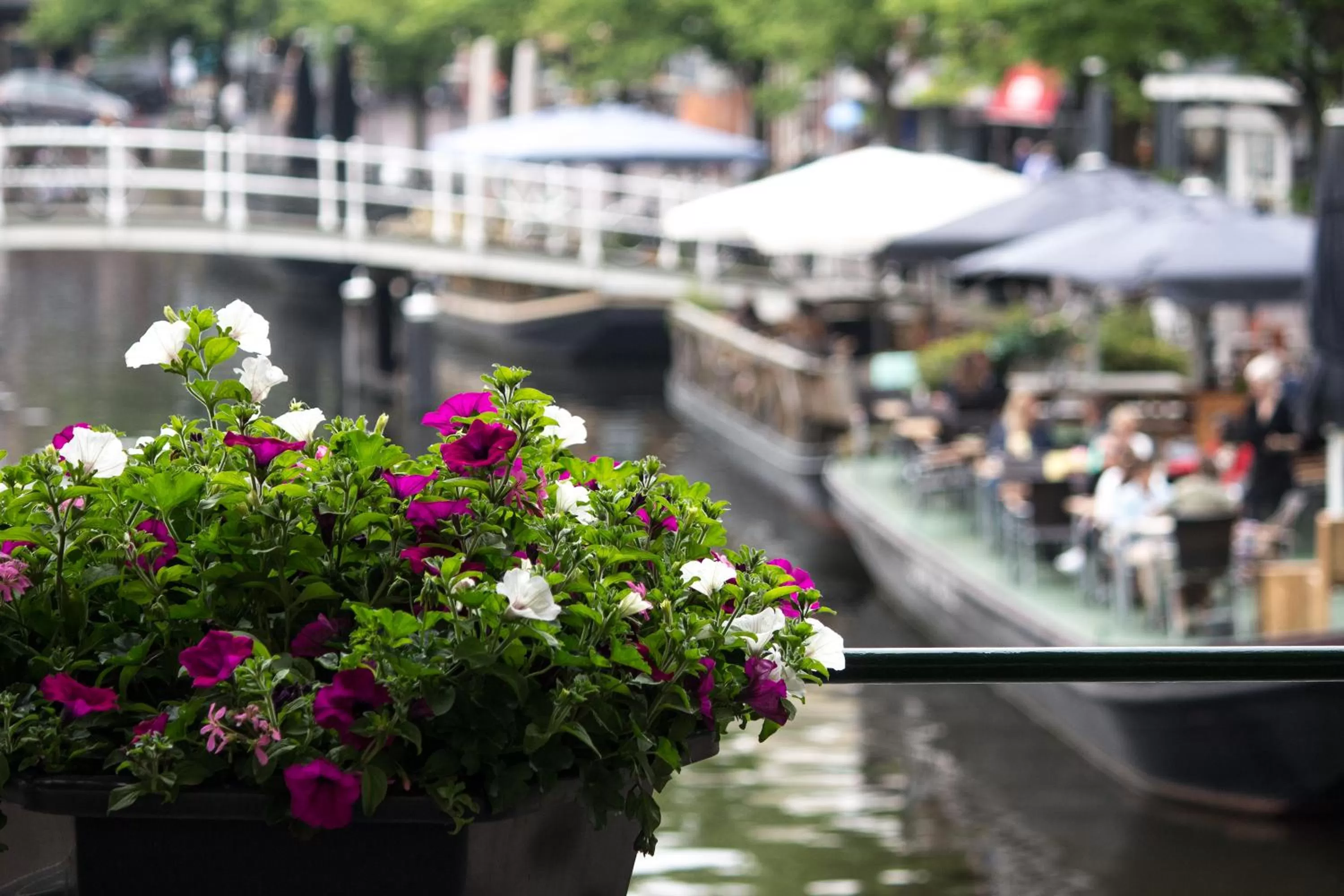 Property building in NR22 Leiden
