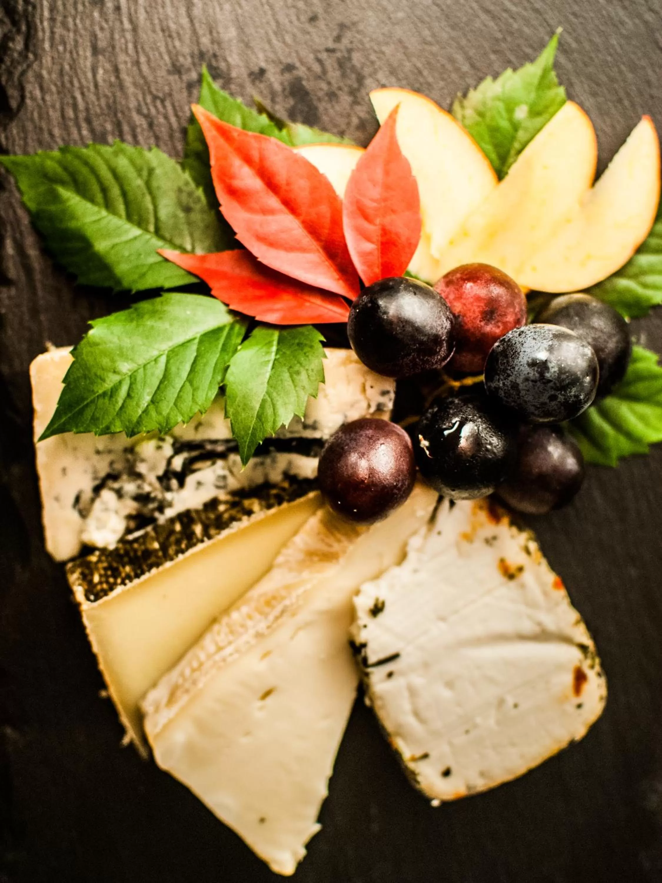 Restaurant/places to eat in Bayerischer Hof