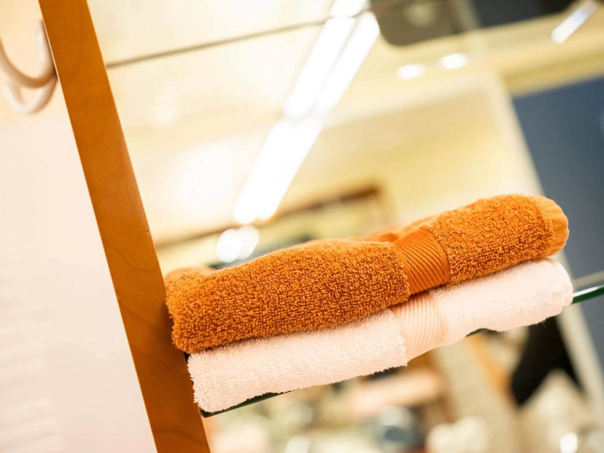 Bathroom in Die Schmiede