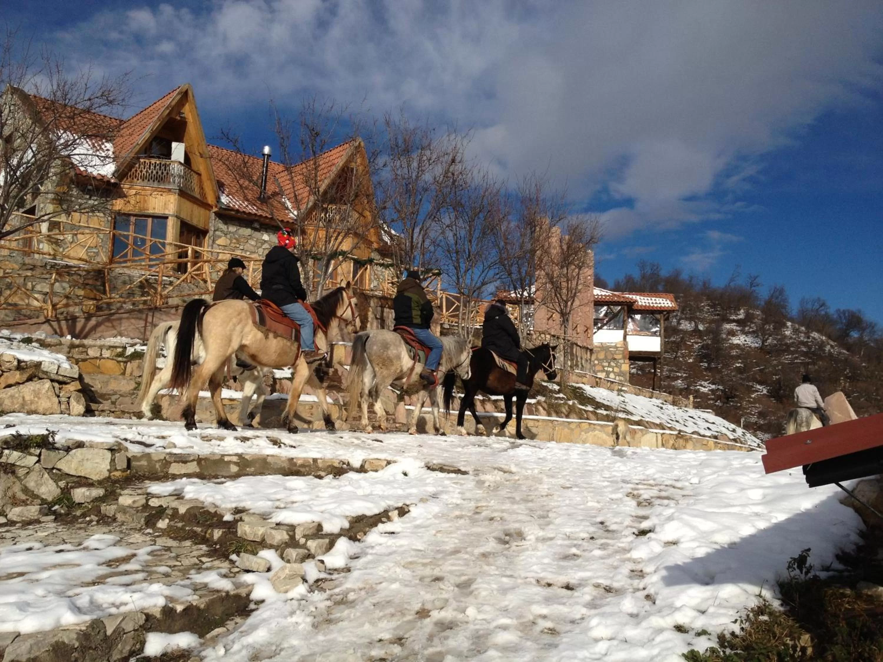 Horse-riding, Winter in Apaga Resort