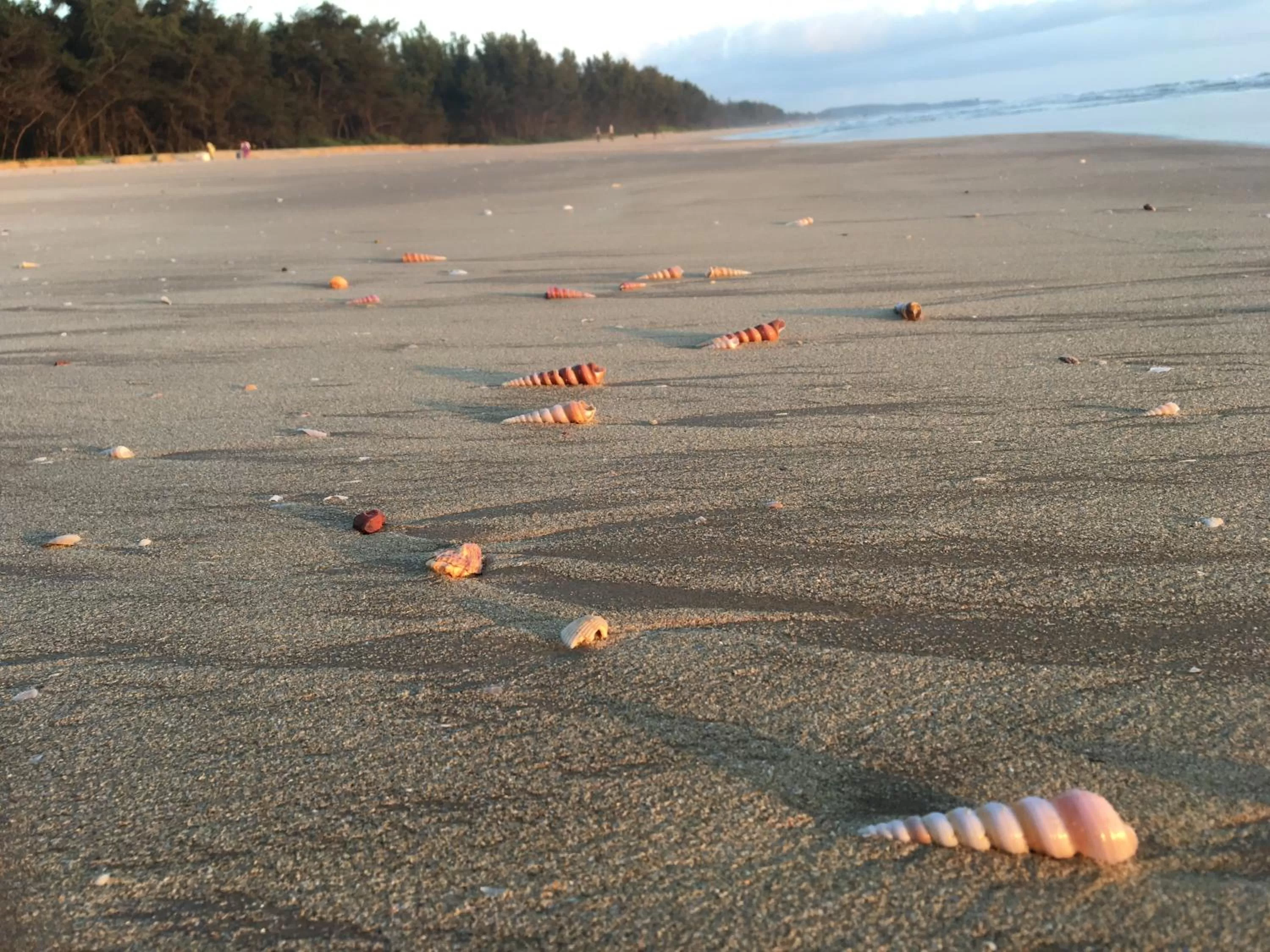 Natural landscape in OmBodhi Retreat