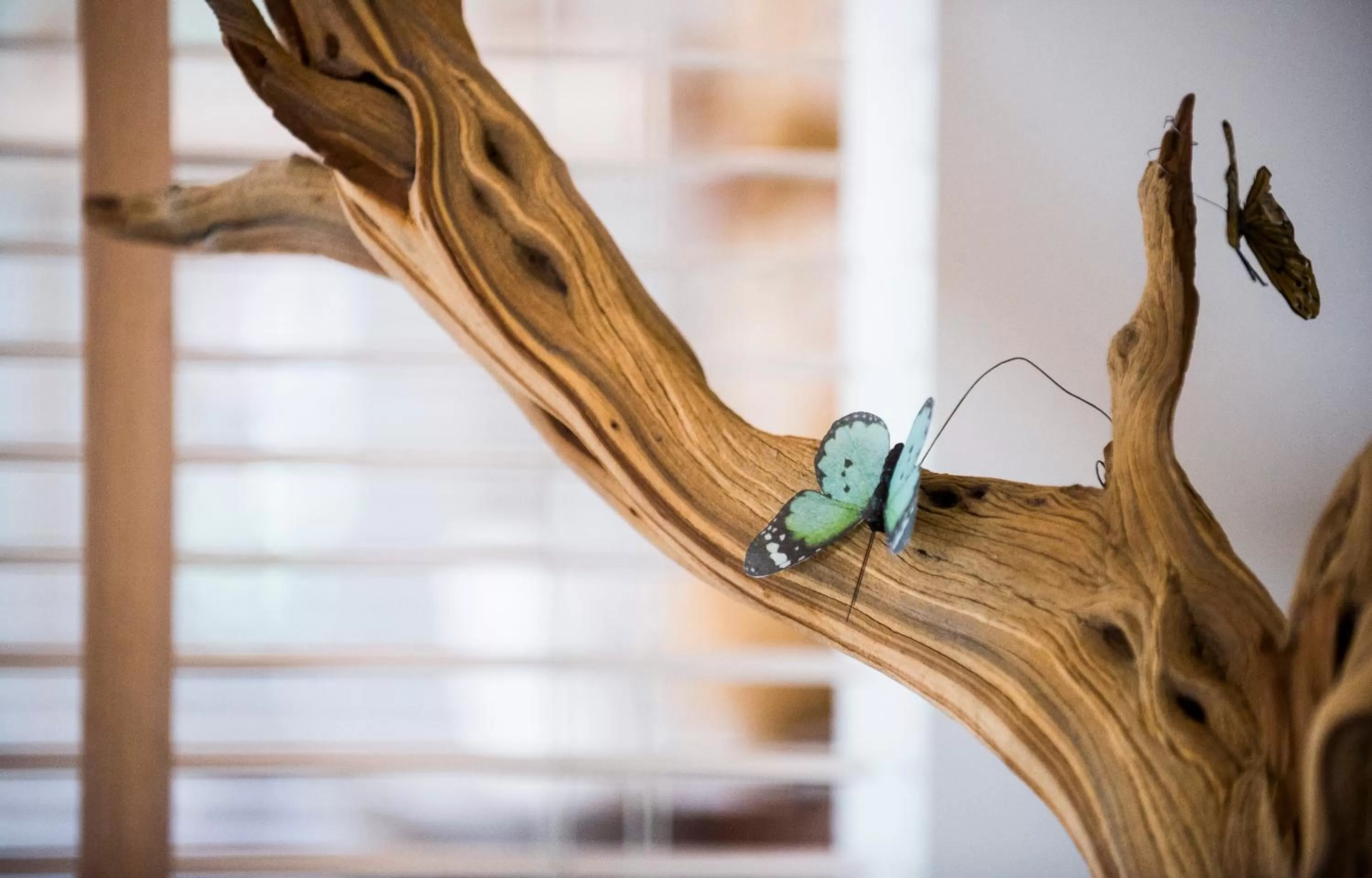 Lounge or bar in Begijnhof Hotel