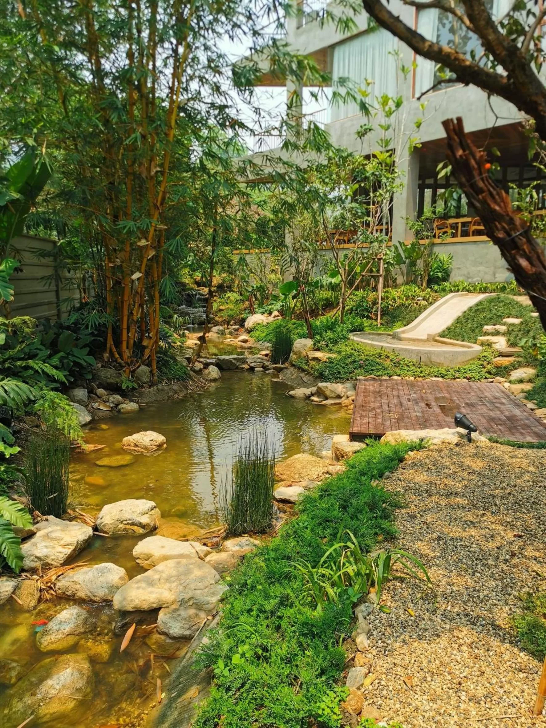 Natural landscape in Proud Phu Fah Muang Chiang Mai