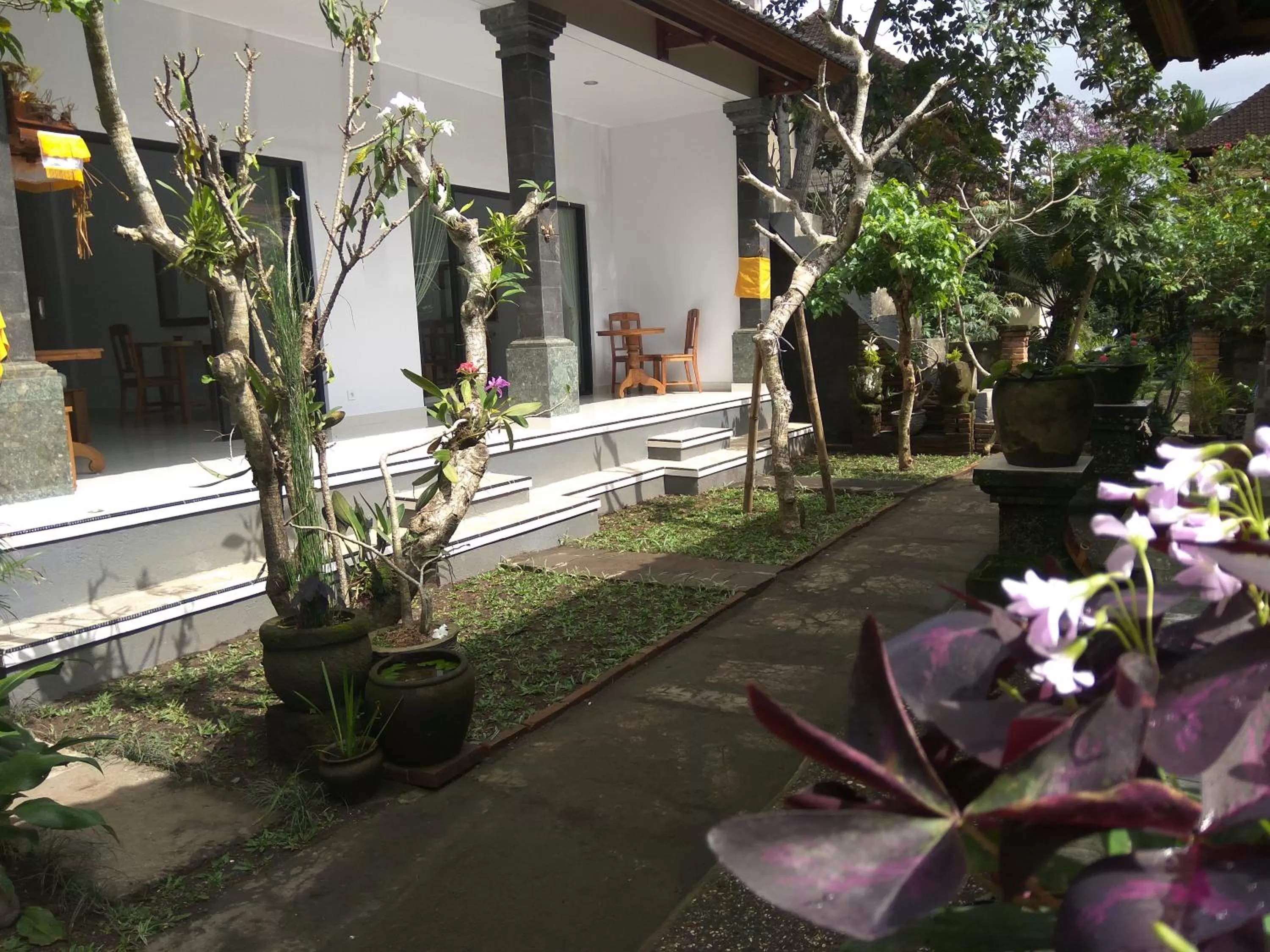 Garden in The Hidden Bali Inn