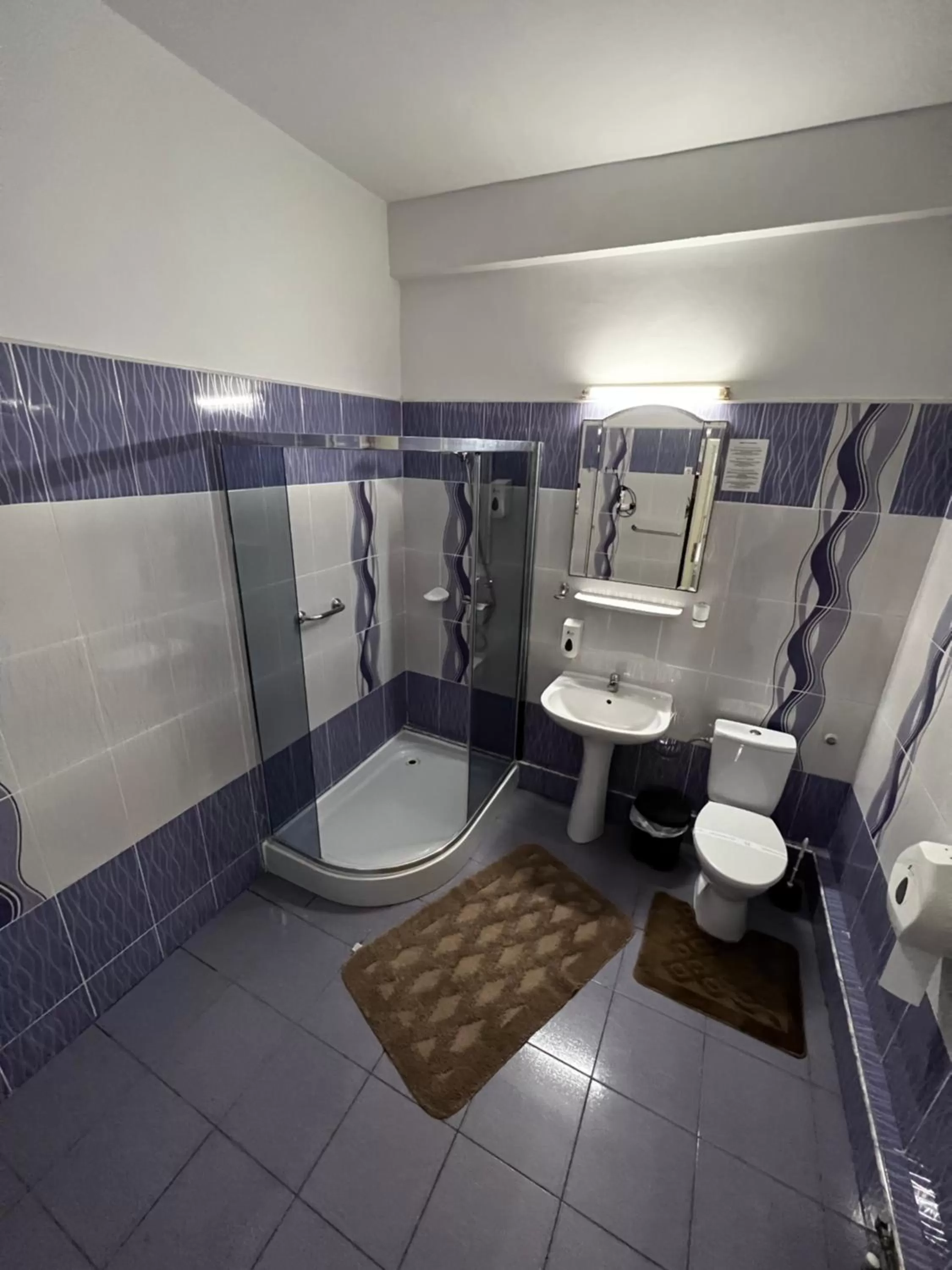 Bathroom in Pensiunea Old Sheriff