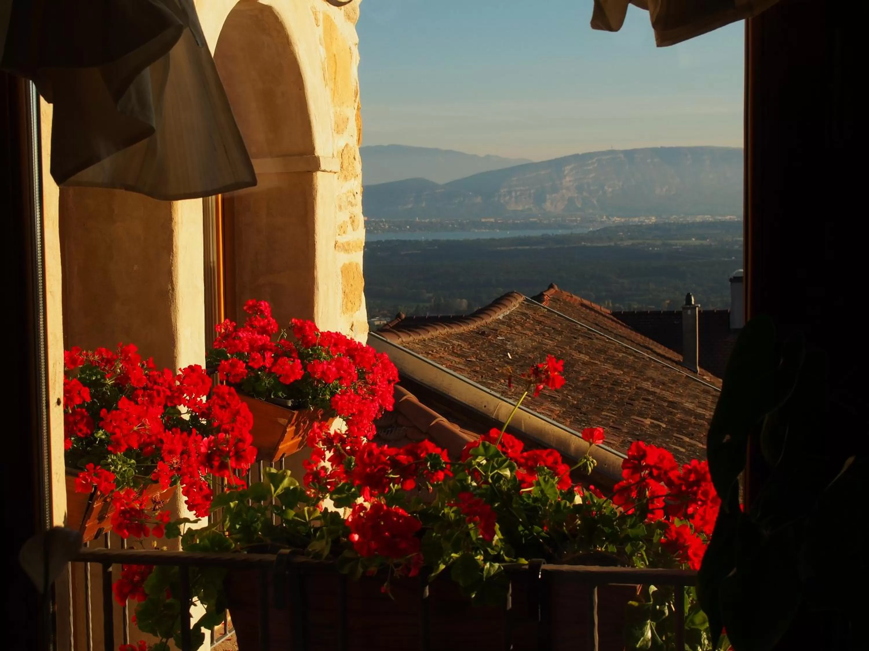 Les Lumières de Genève